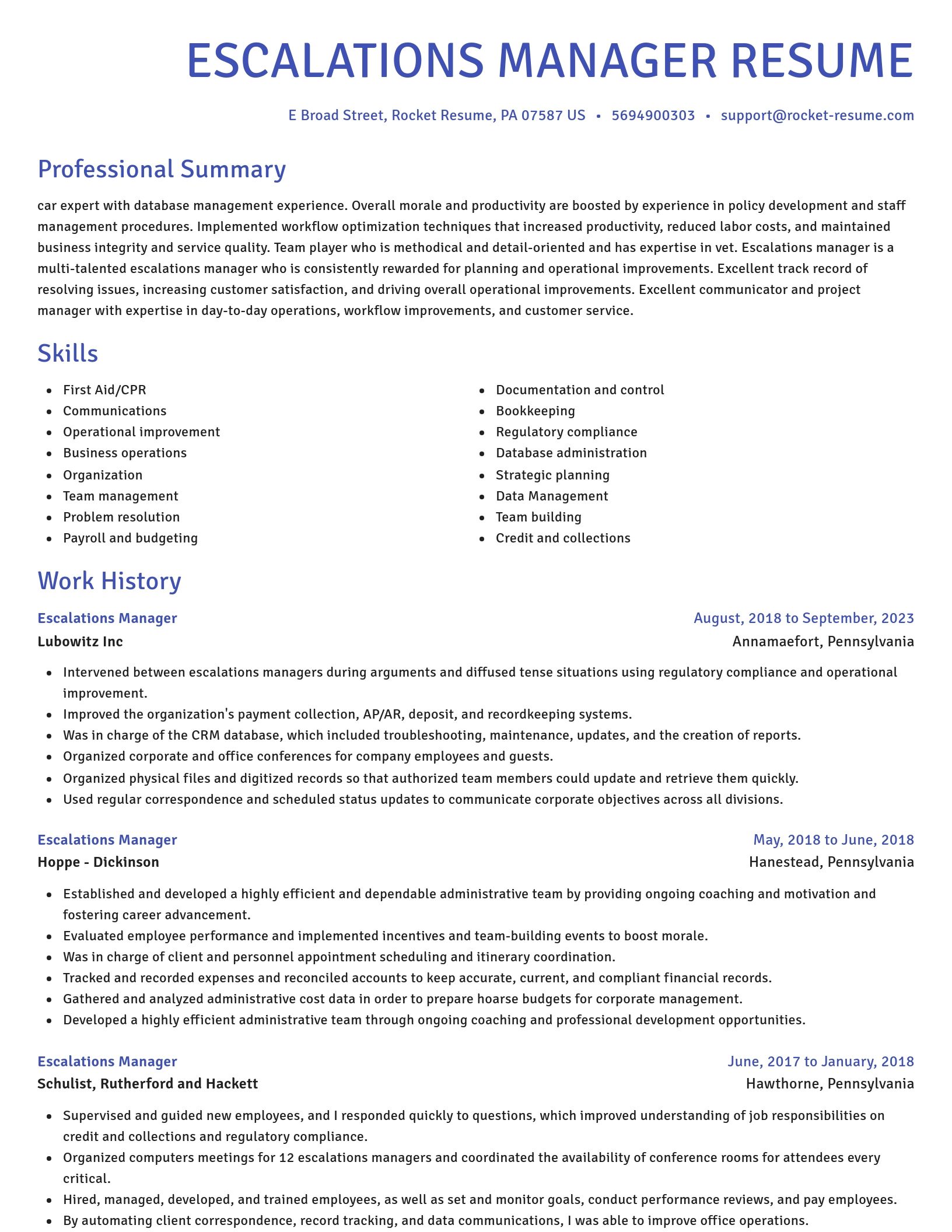 Novel resume template