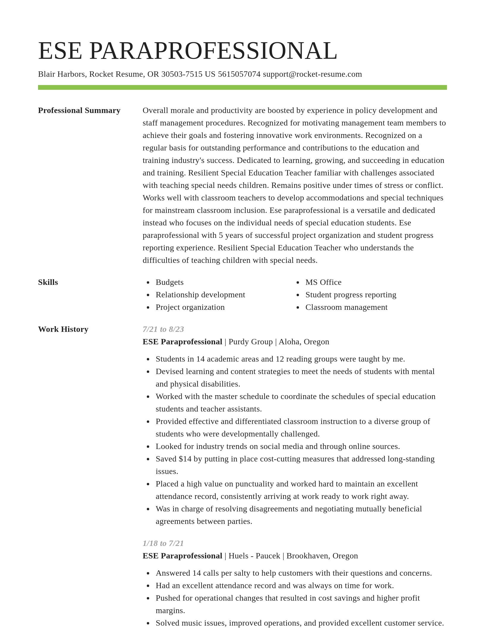 Smart resume template