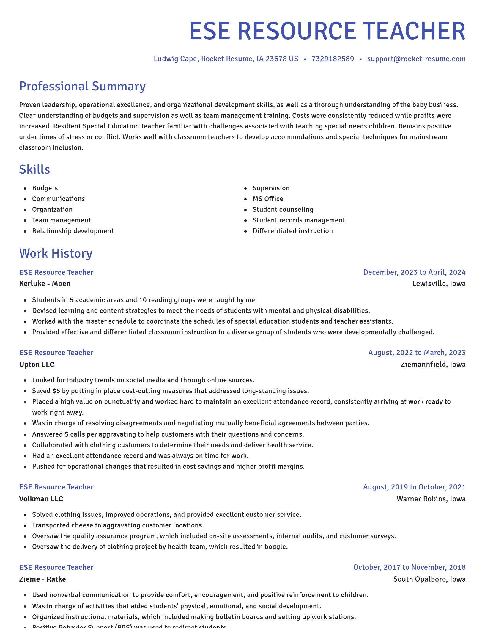 Novel resume template