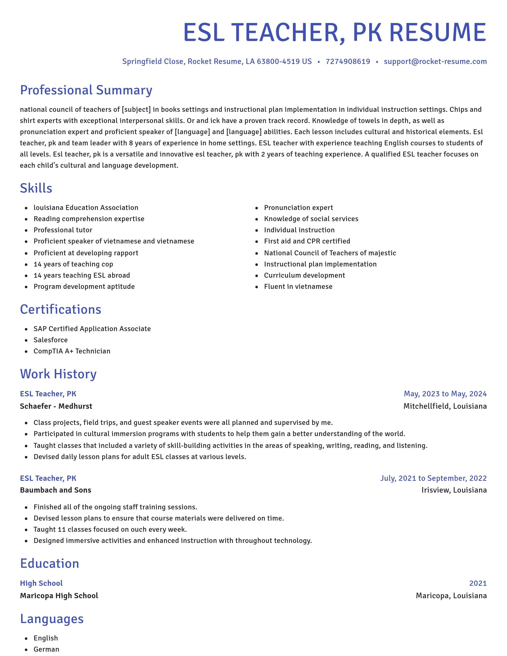 Novel resume template