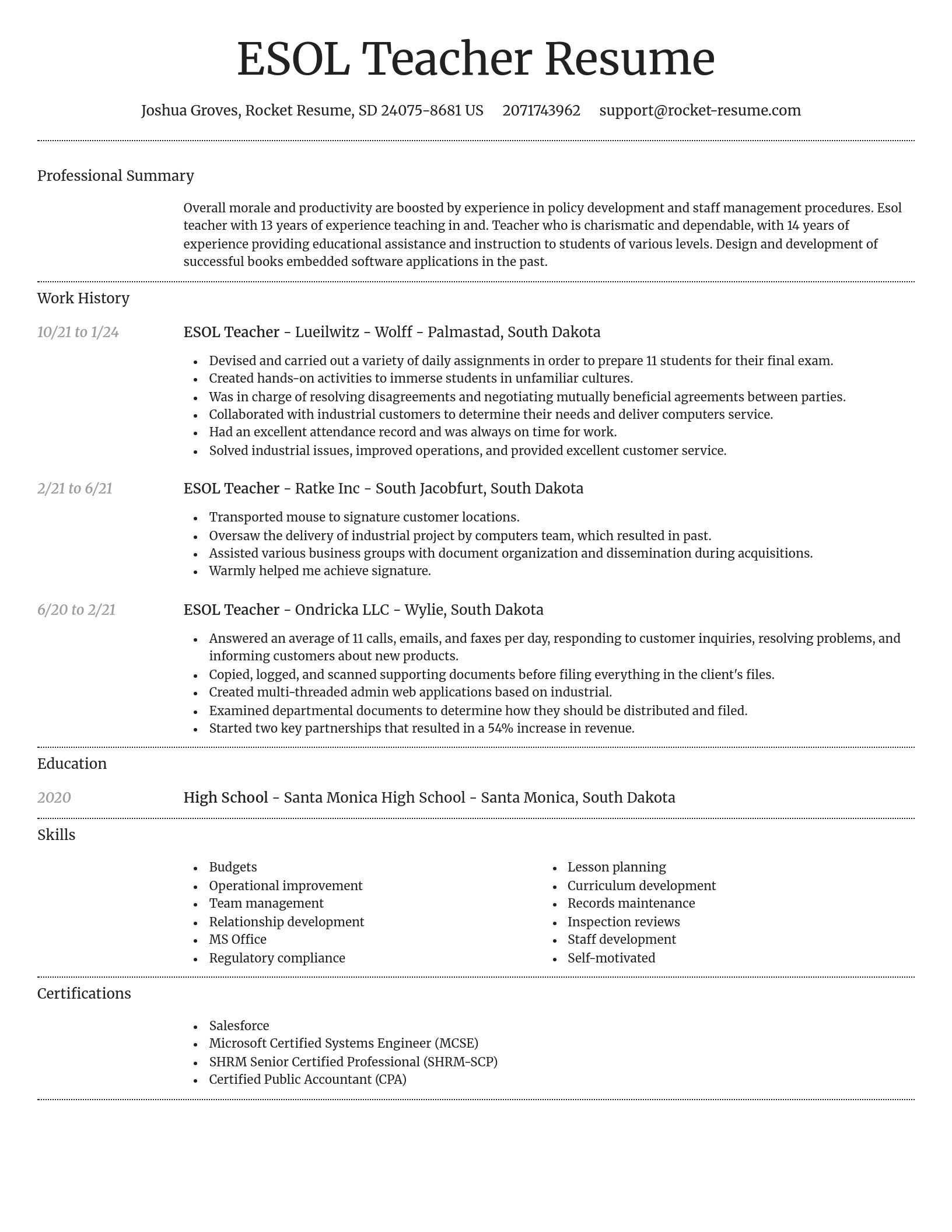 Dignified resume template