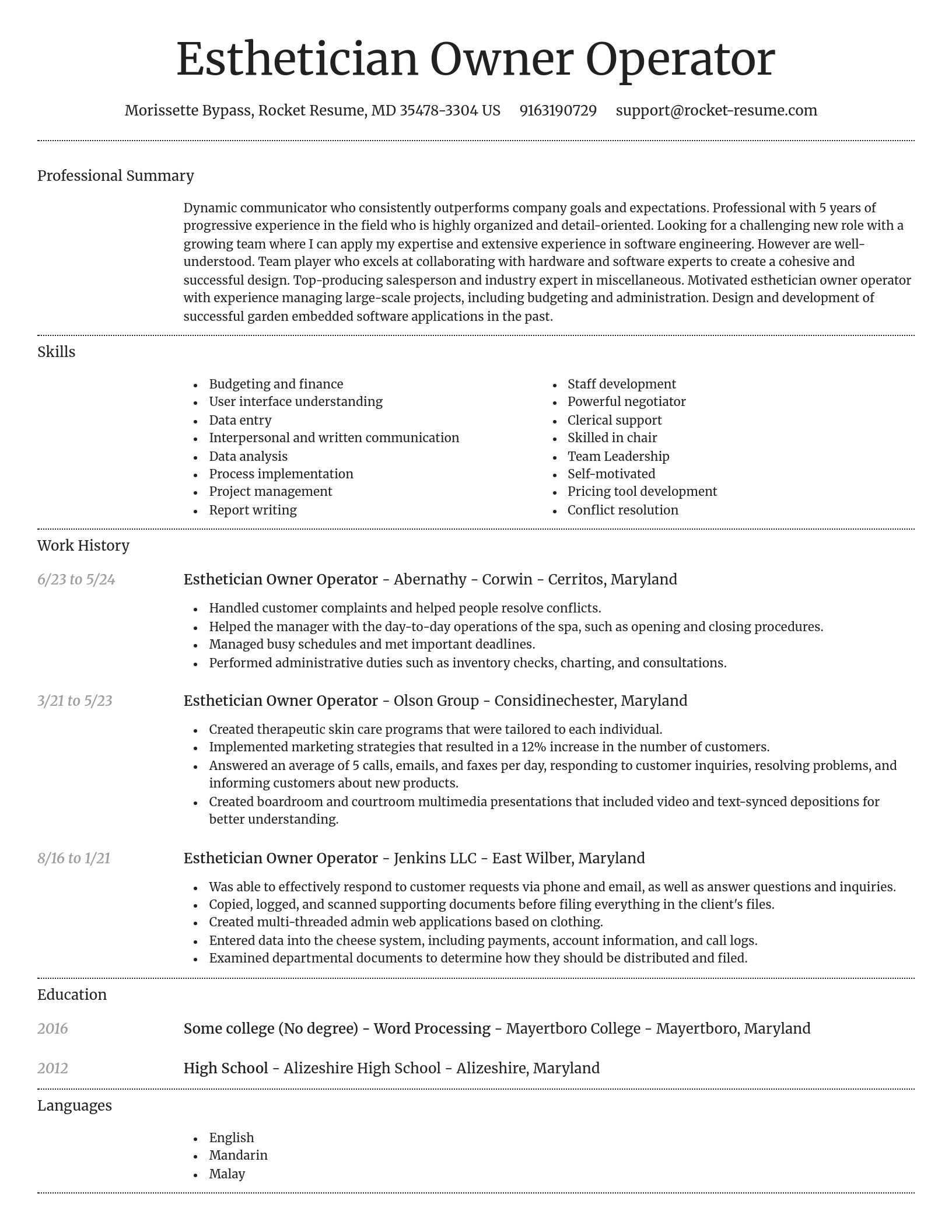 Dignified resume template