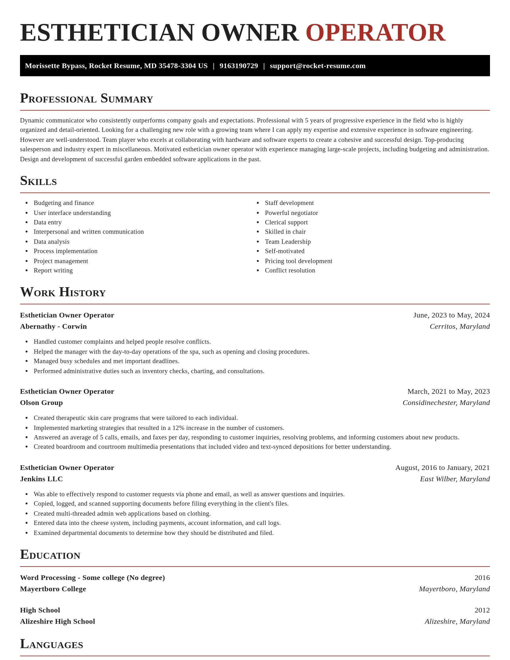 Exquisite resume template