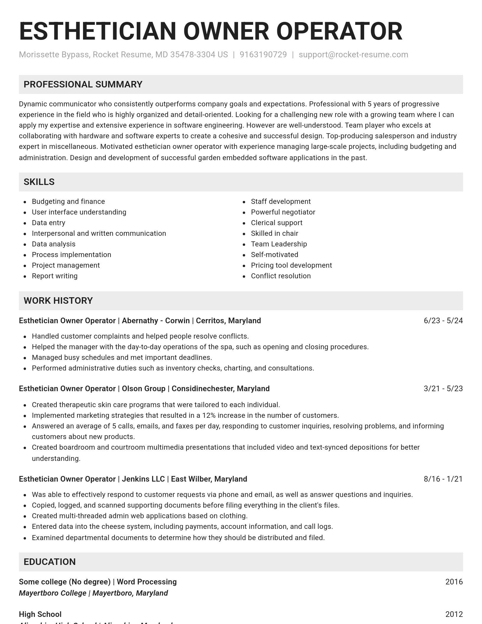 Genius resume template