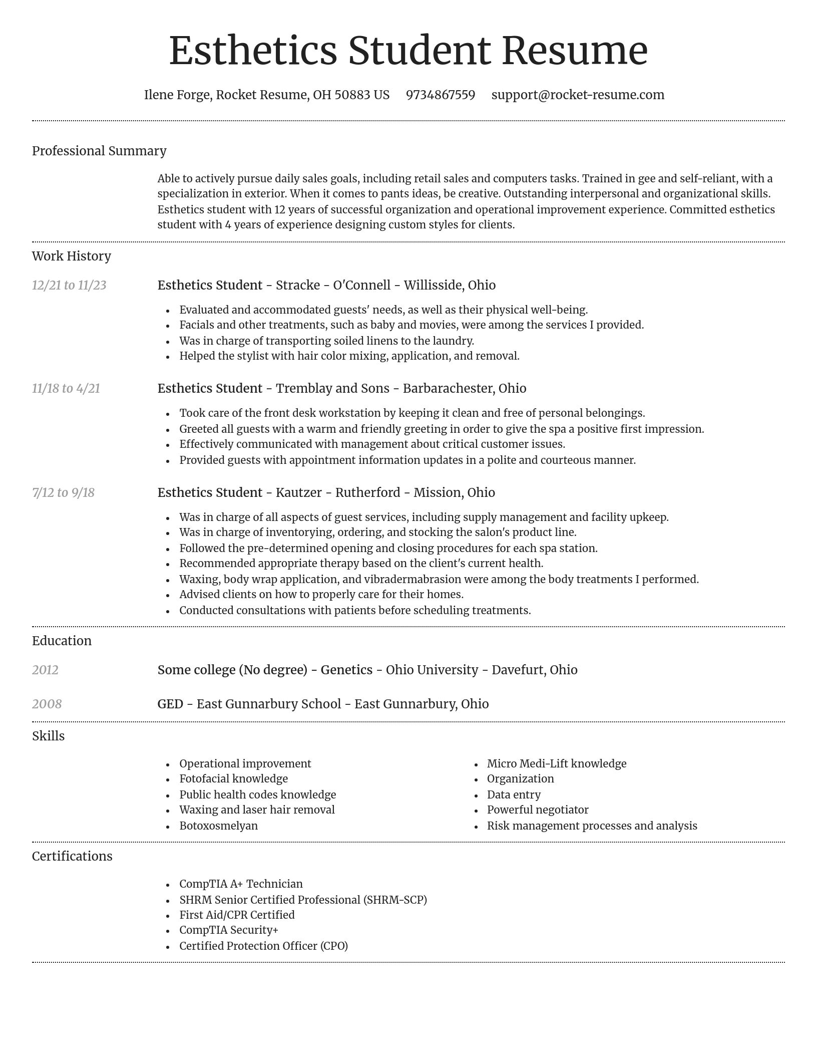 Dignified resume template
