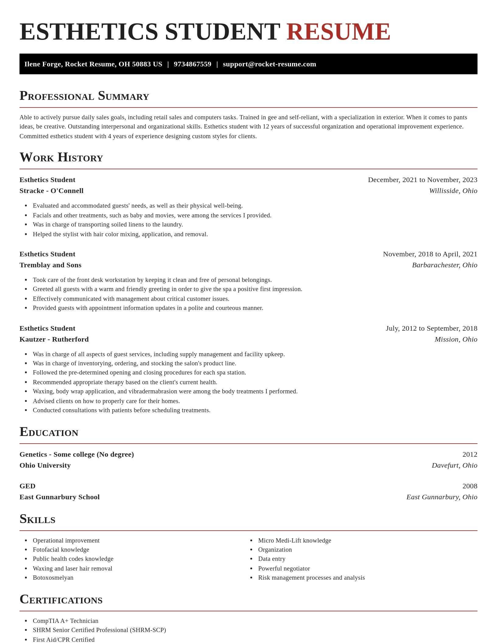 Exquisite resume template