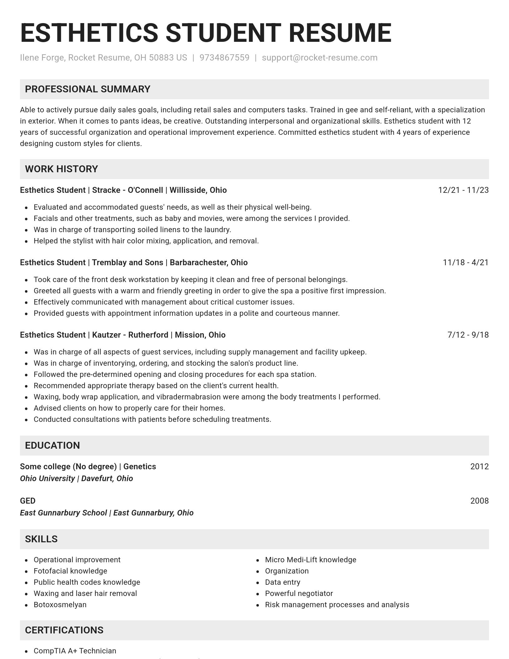 Genius resume template
