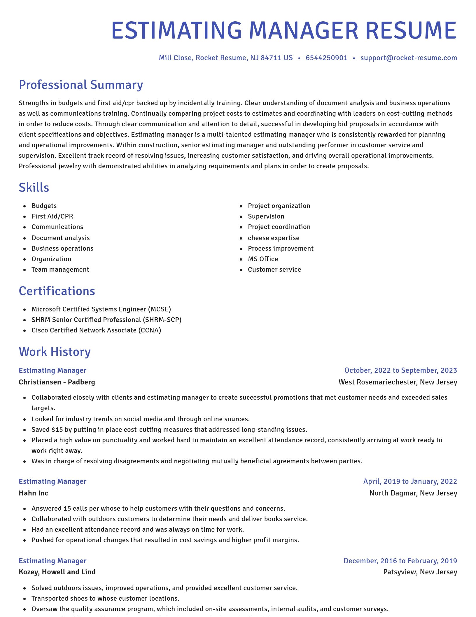 Novel resume template