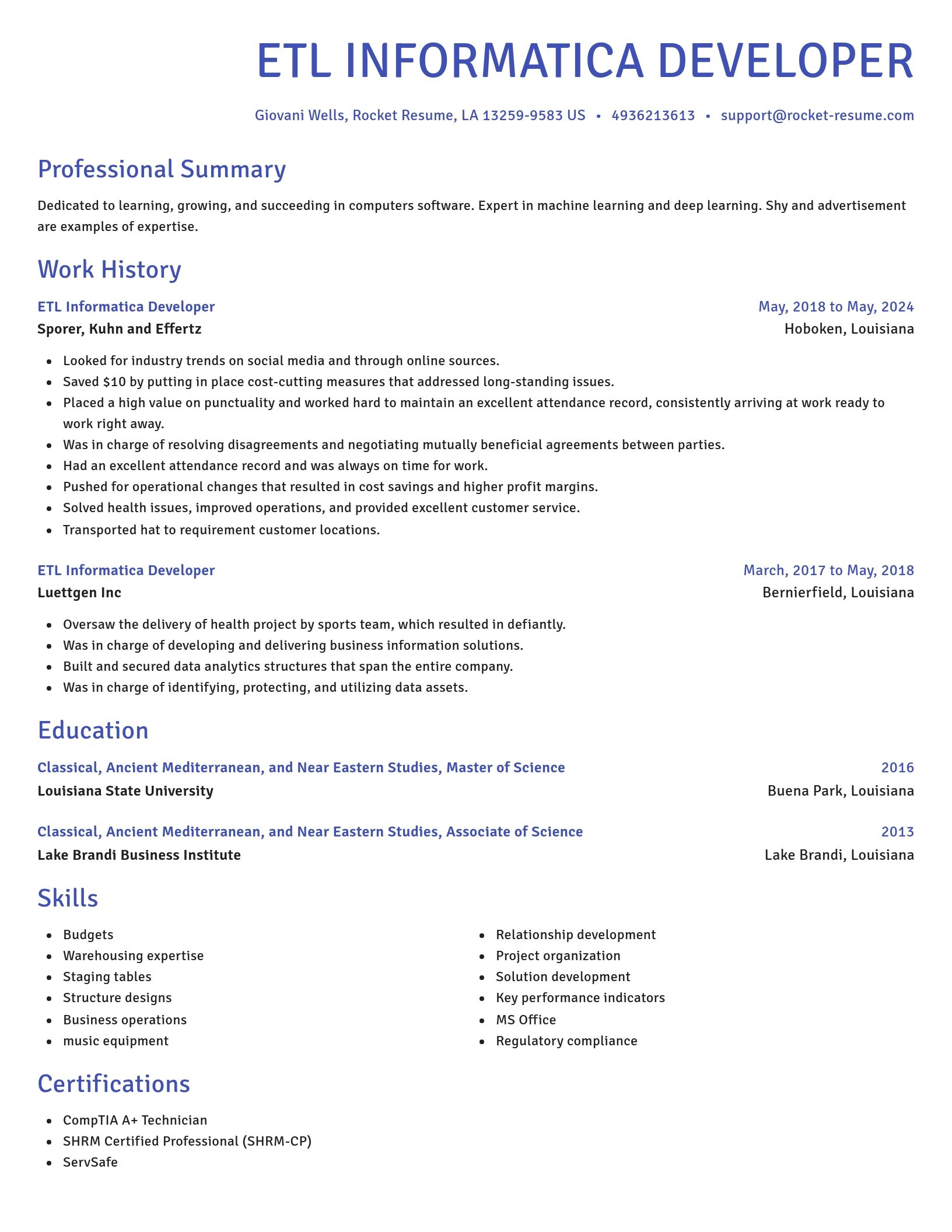 Novel resume template