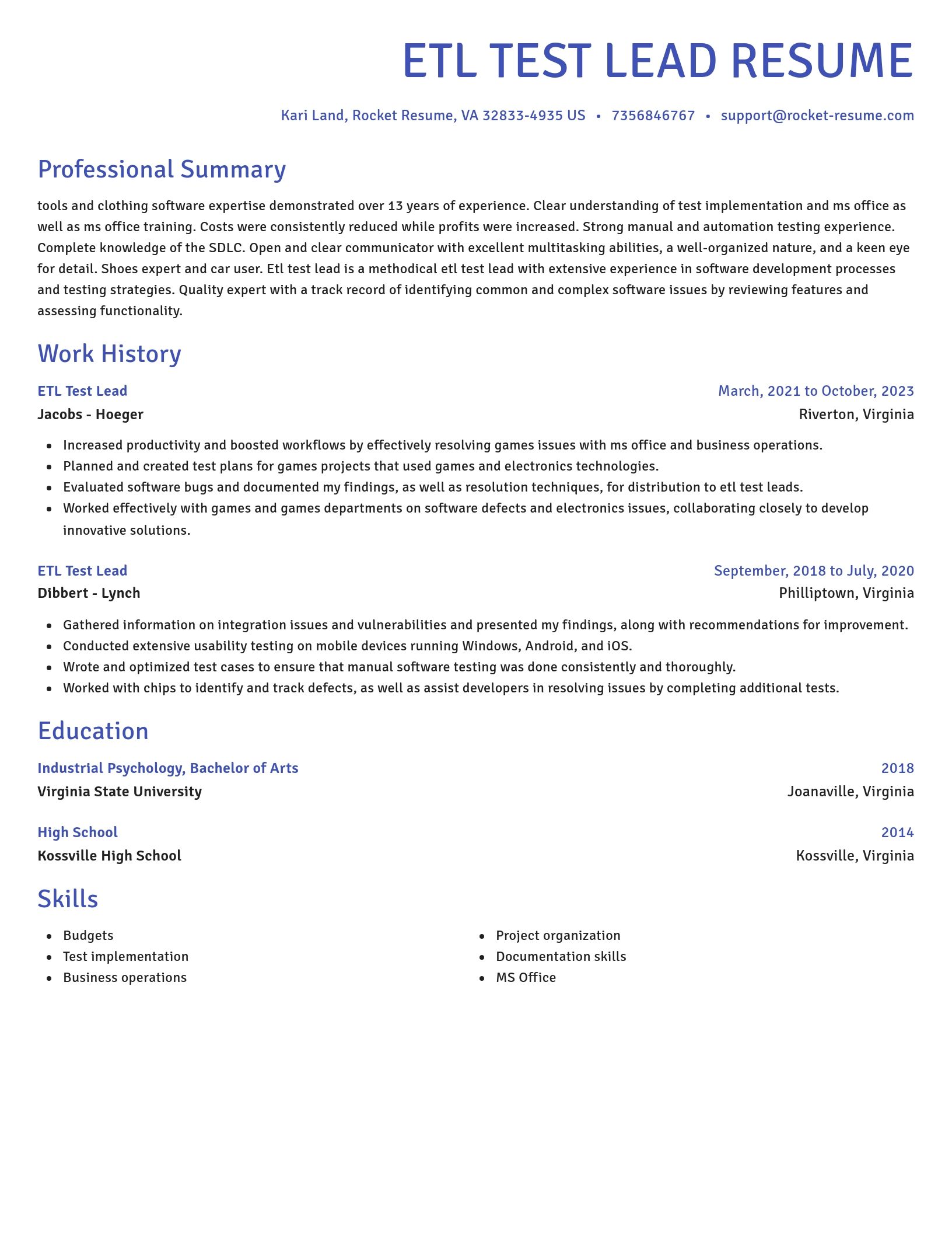 Novel resume template