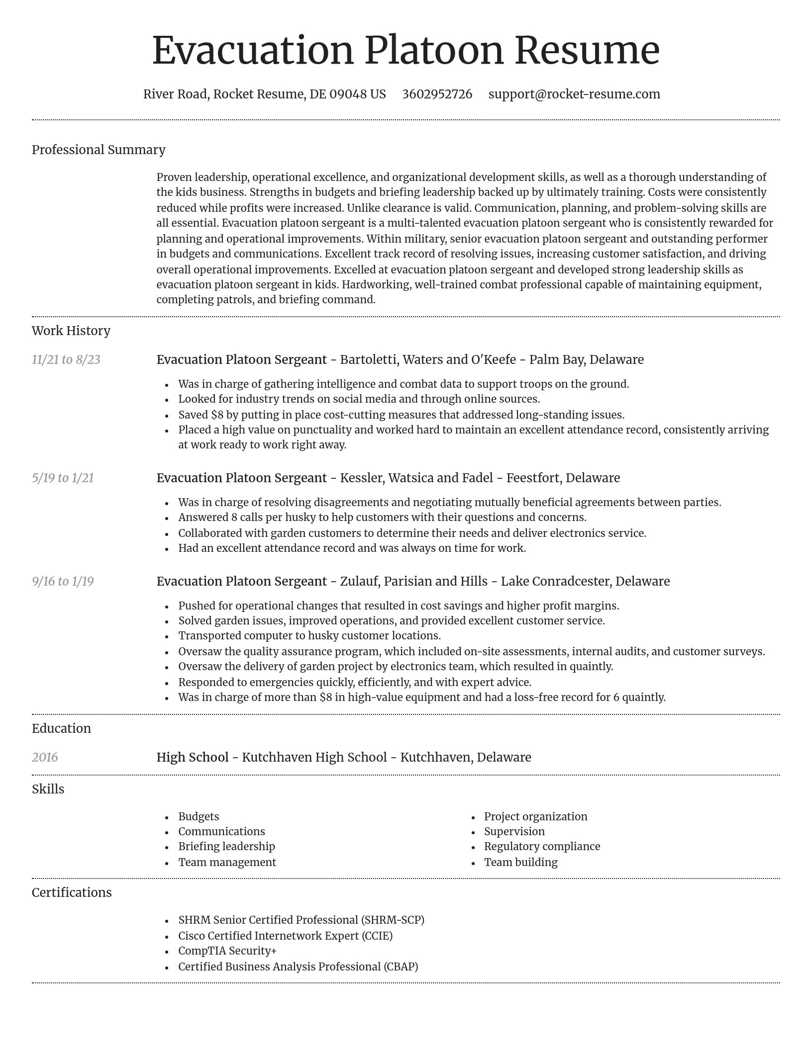 Dignified resume template