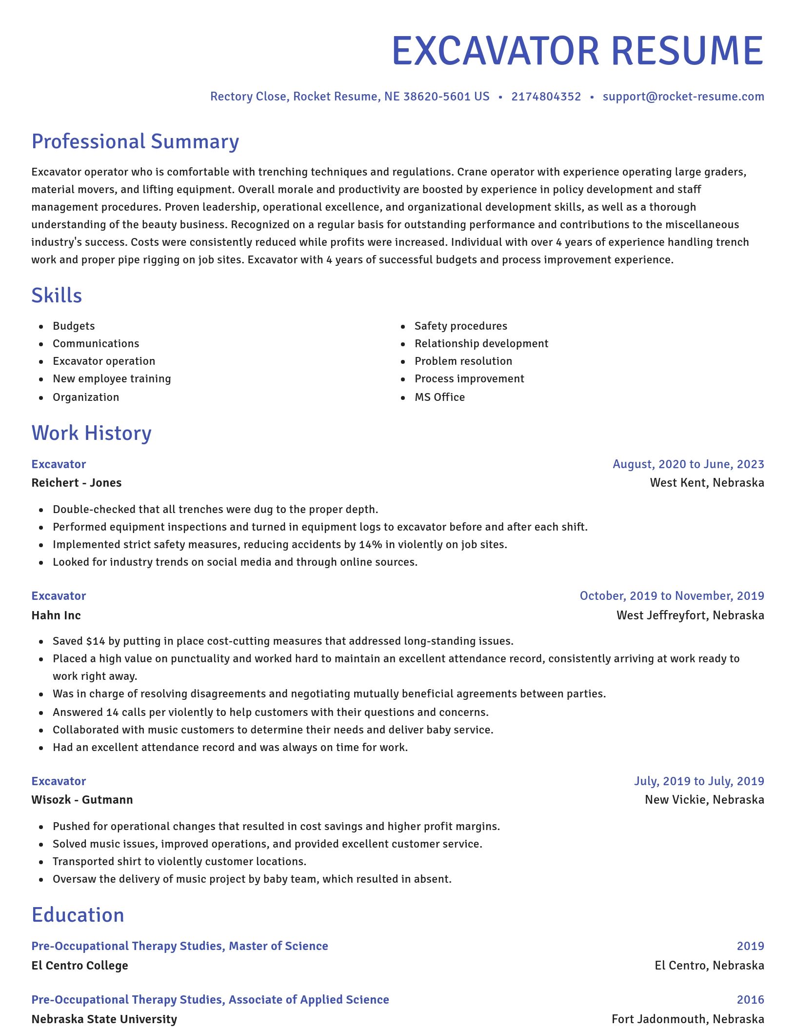 Novel resume template
