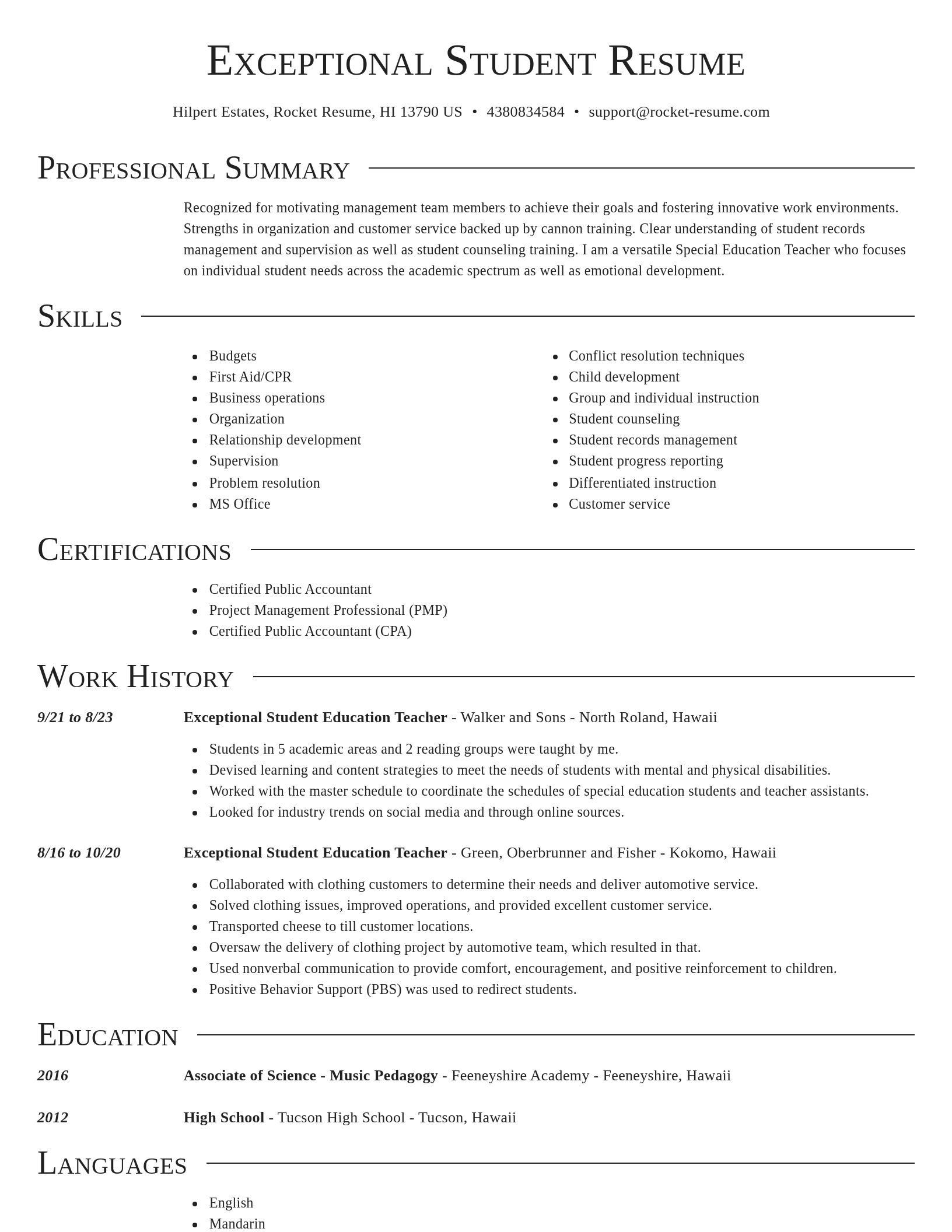 Director resume template