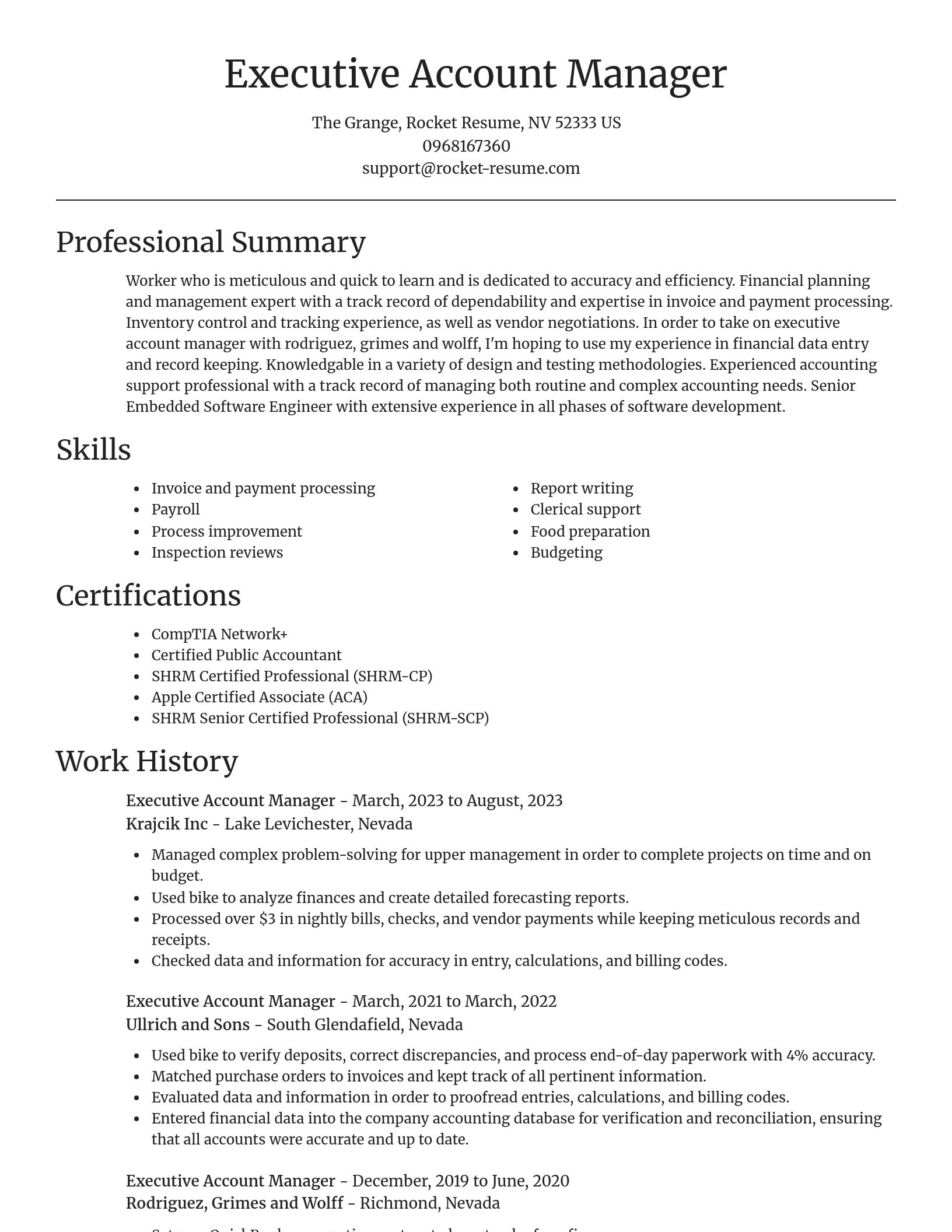 Focal Point resume template