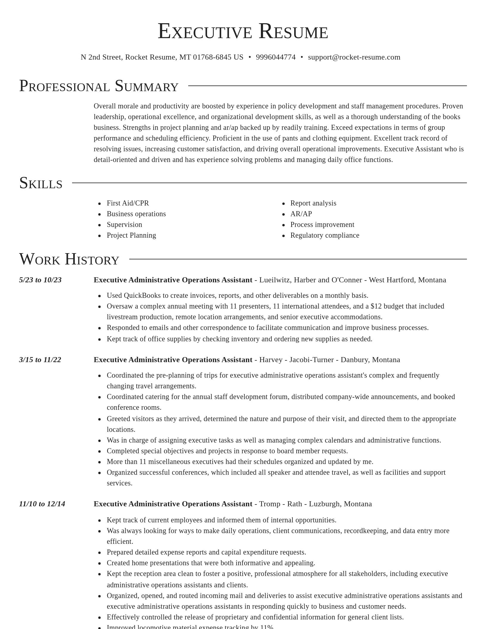 Director resume template