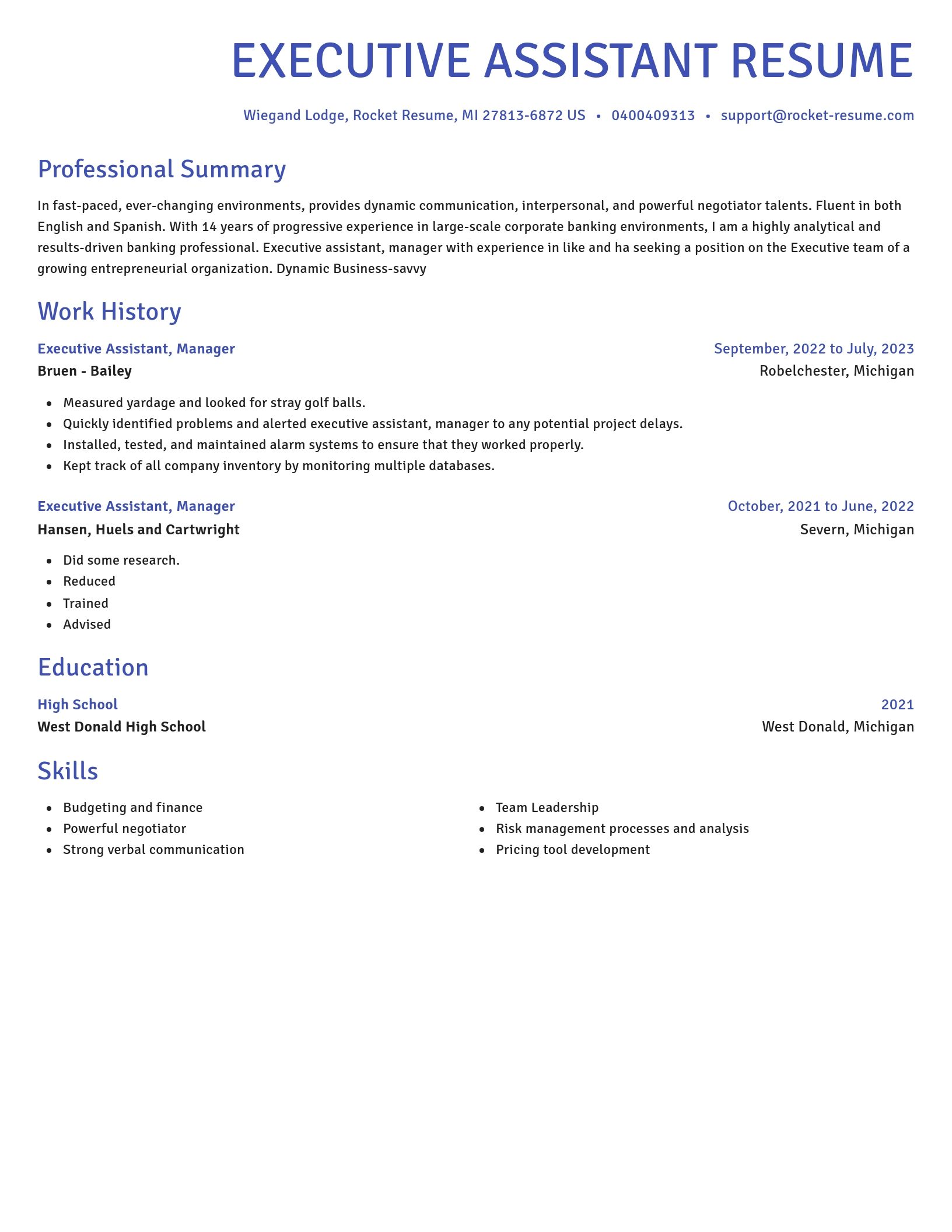 Novel resume template