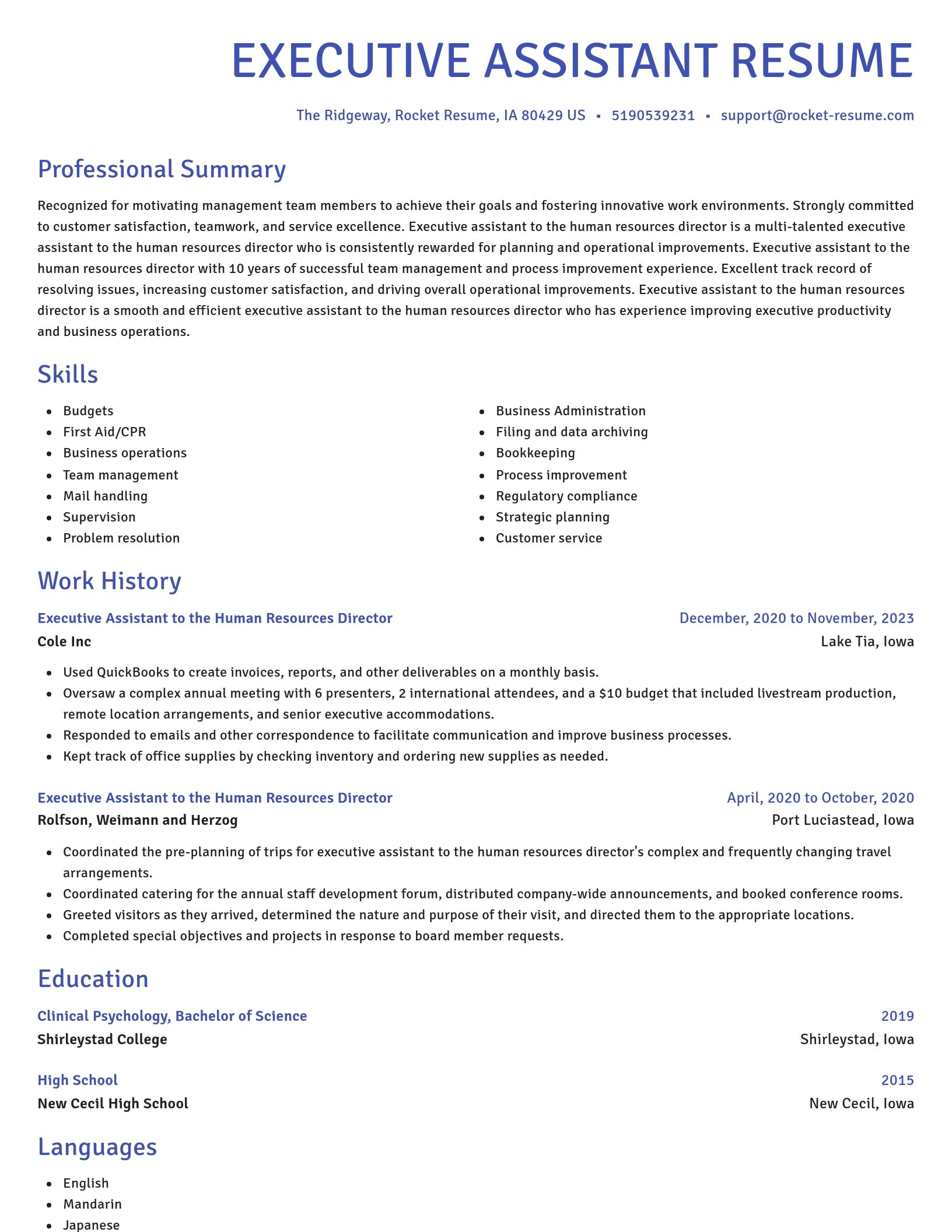 Novel resume template