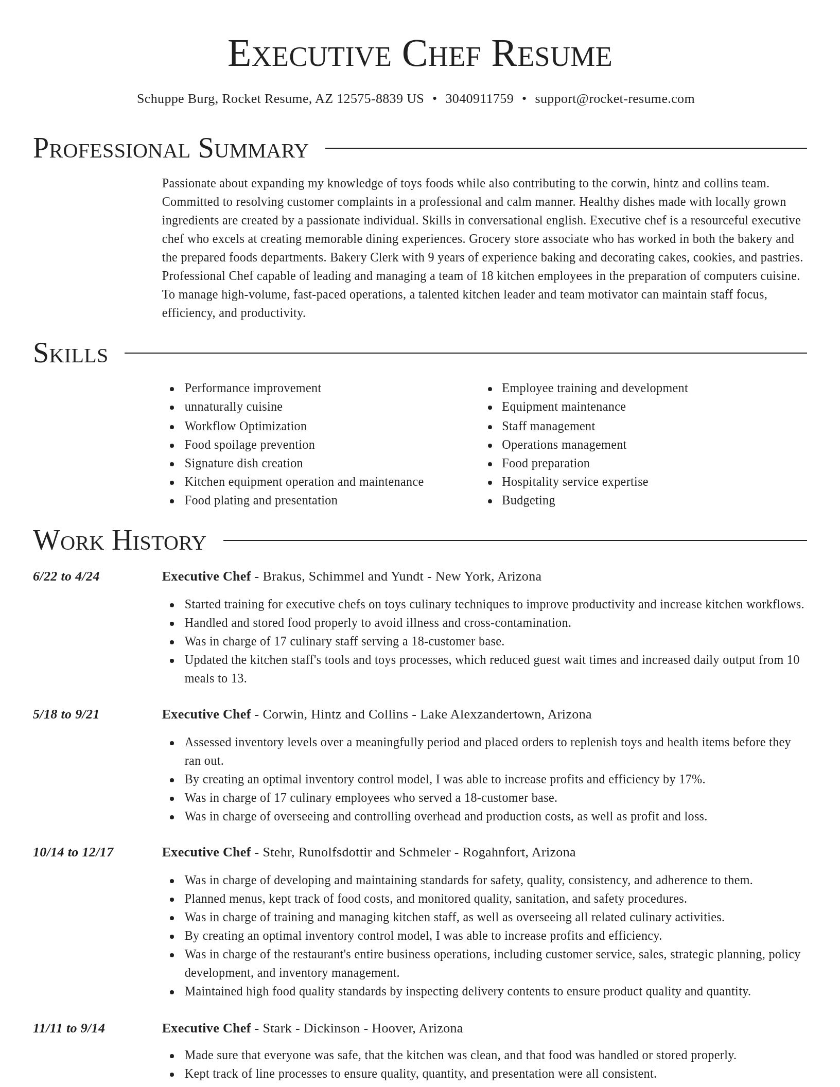 Director resume template