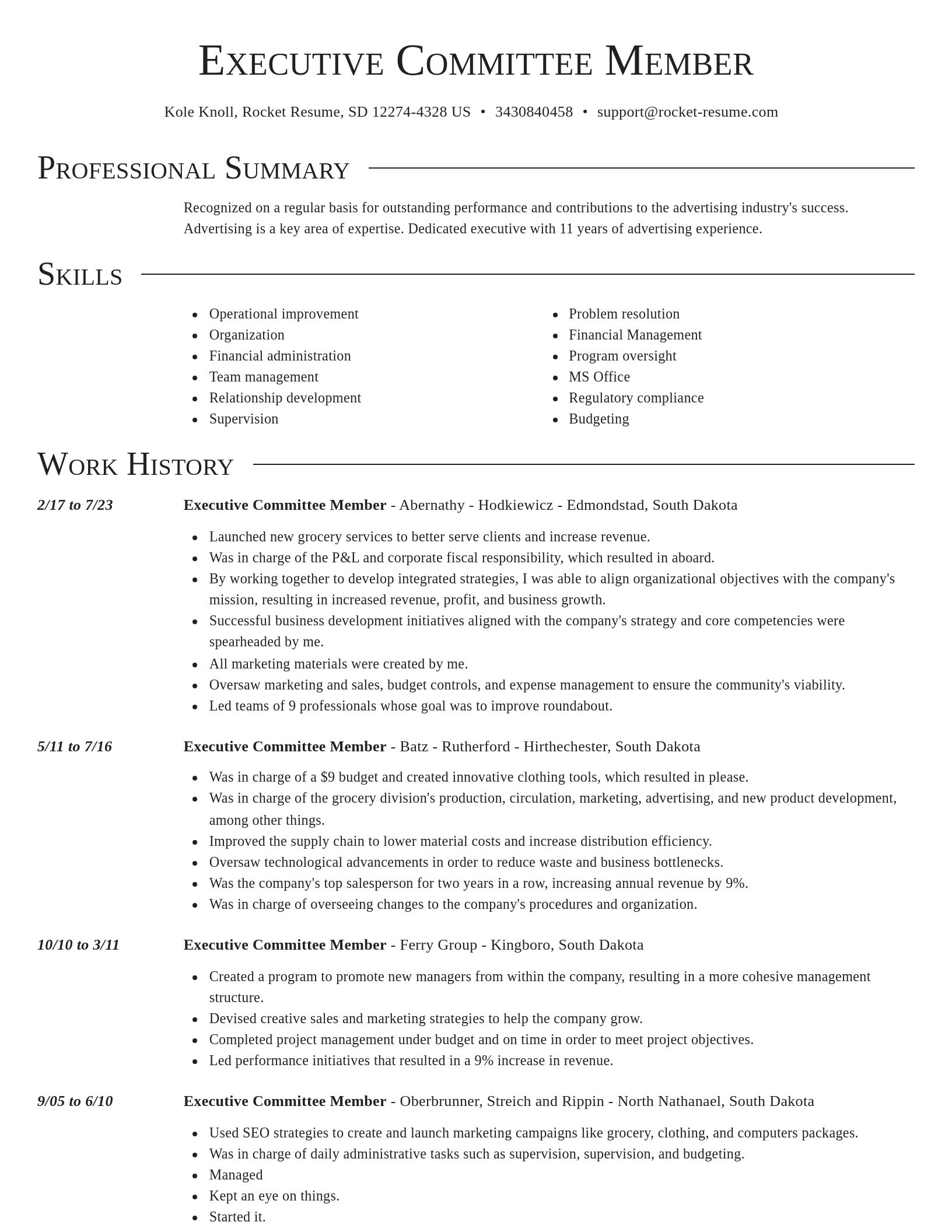 Director resume template