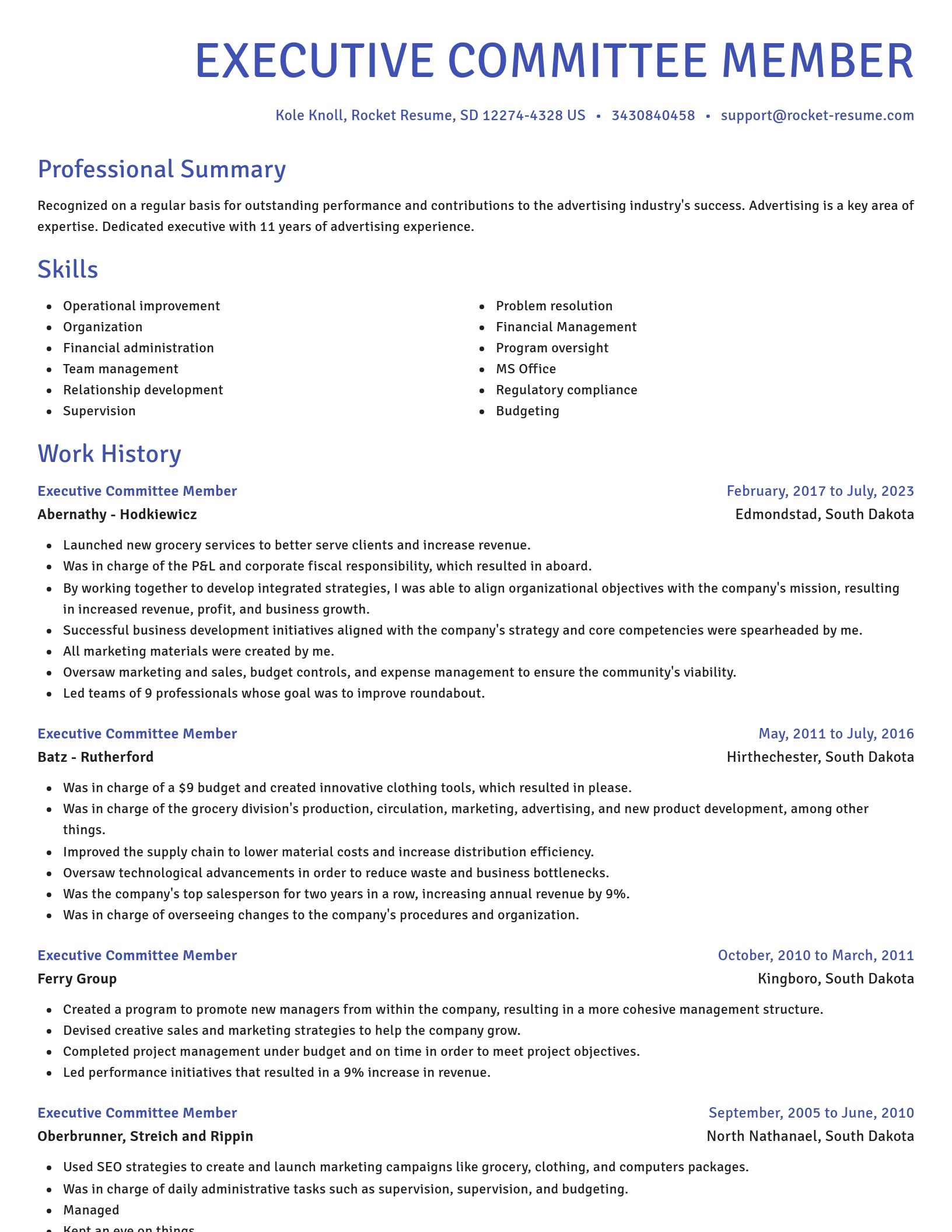 Novel resume template