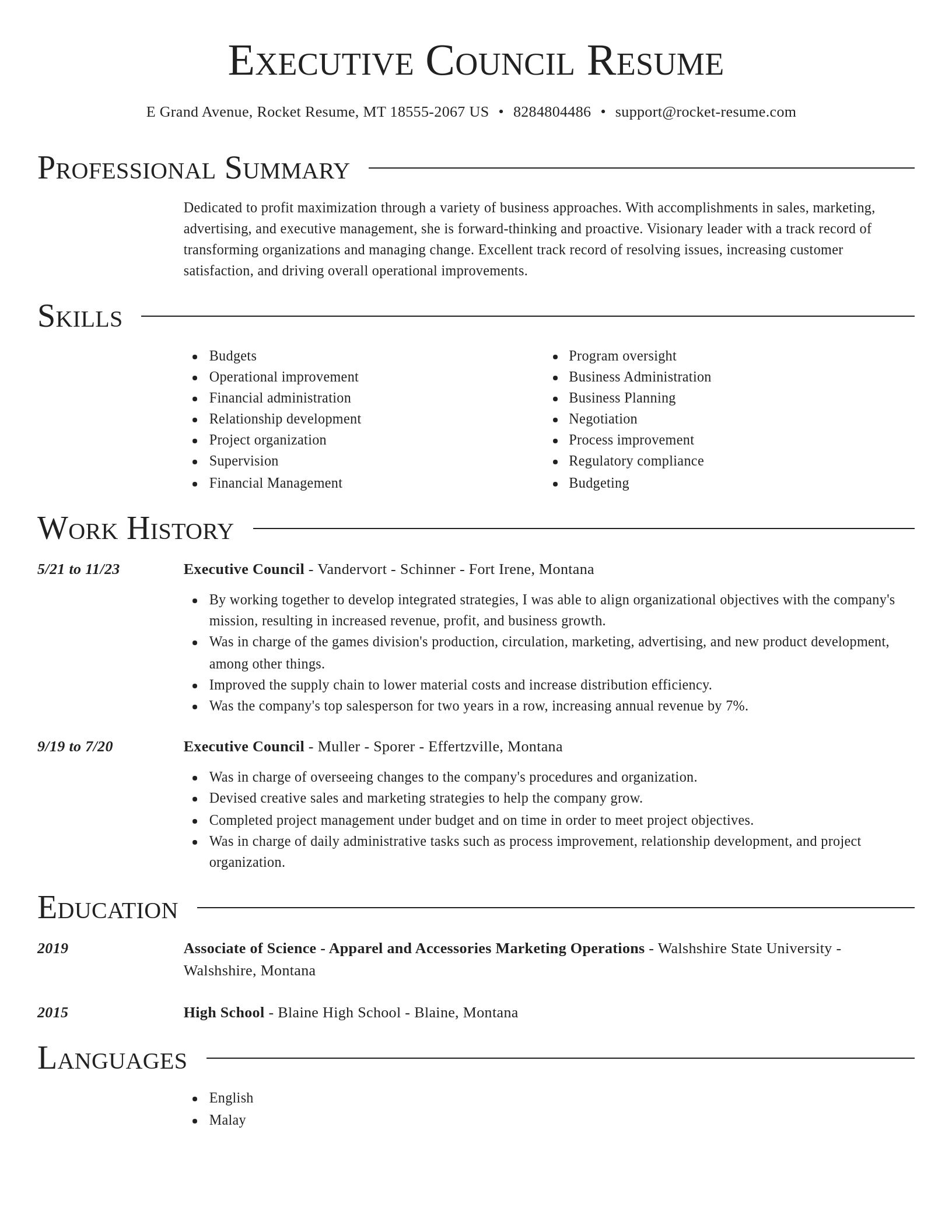 Director resume template