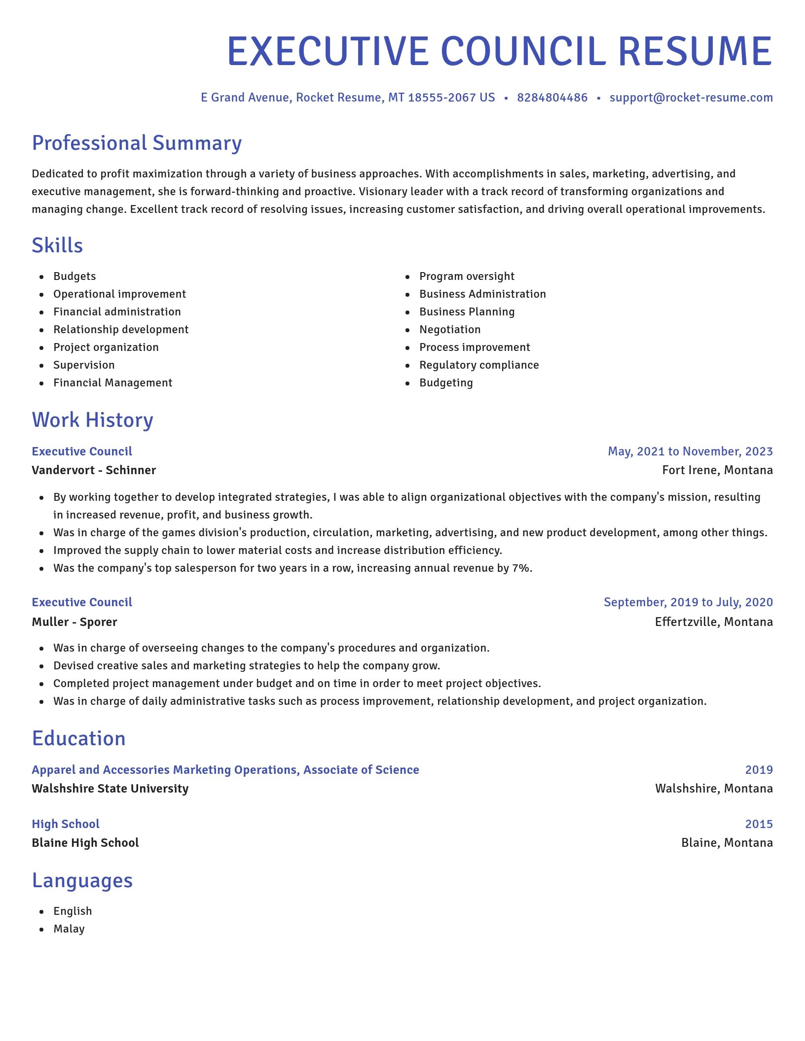Novel resume template