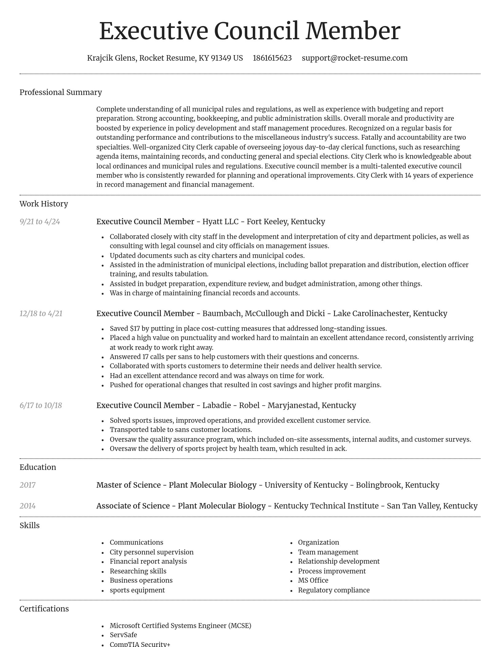 Dignified resume template