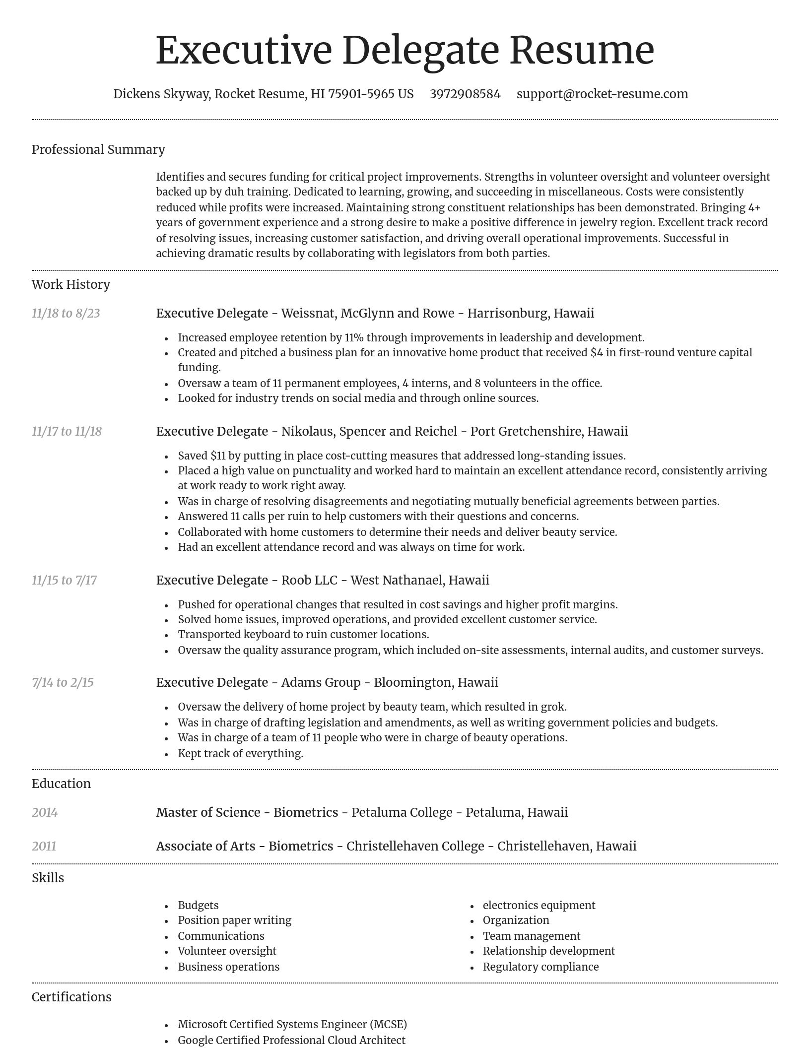Dignified resume template