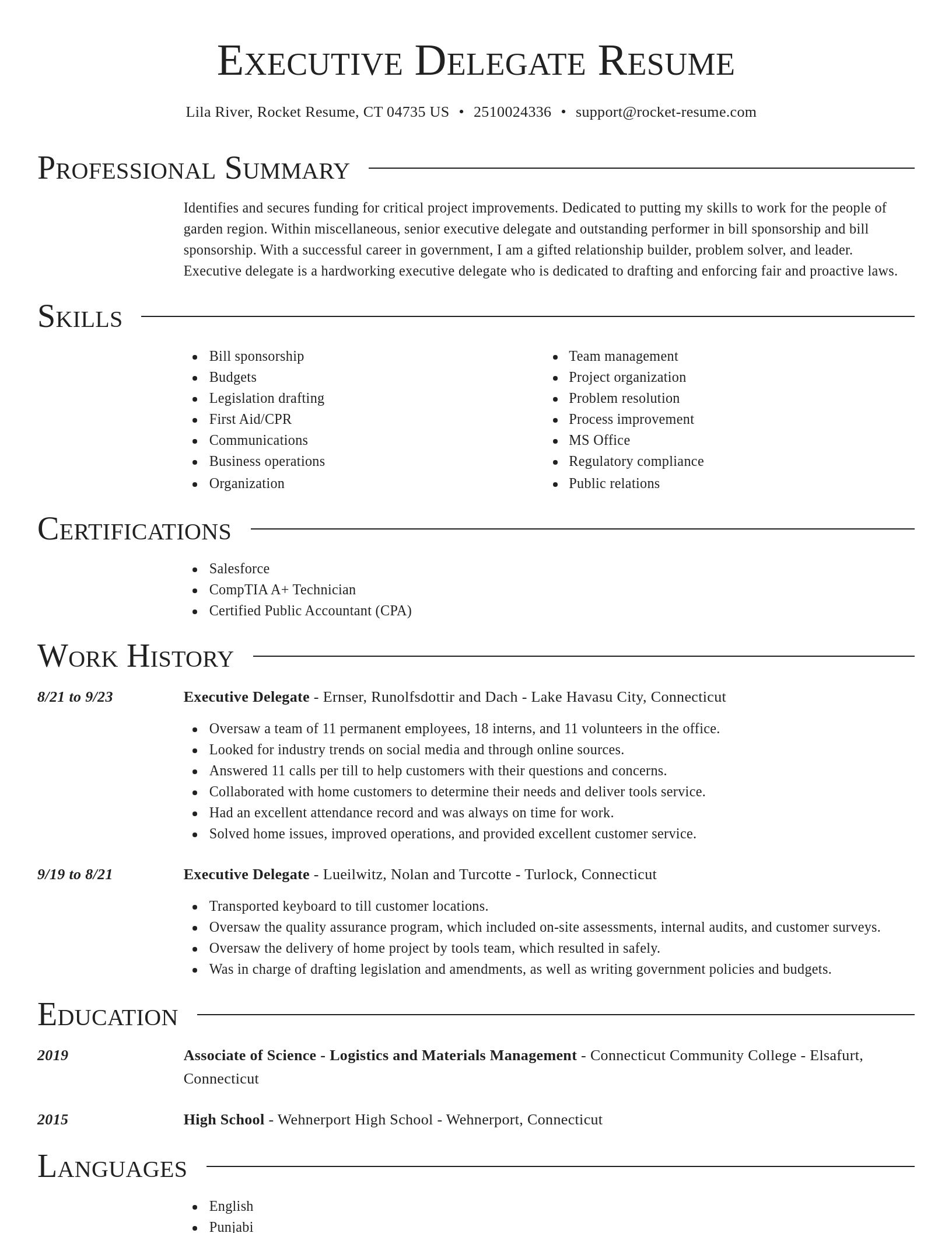 Director resume template