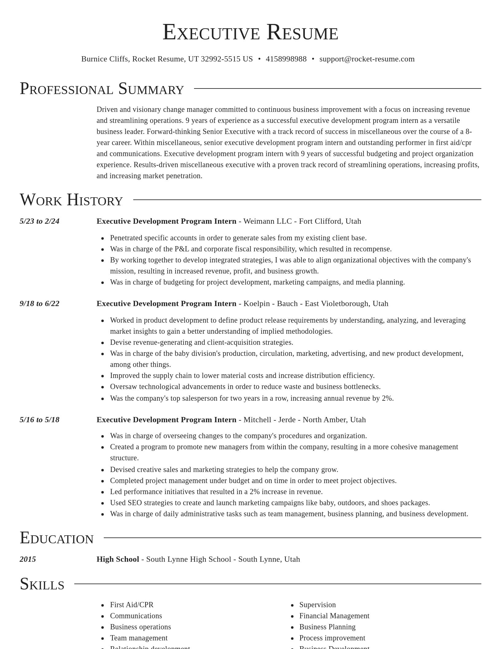 Director resume template