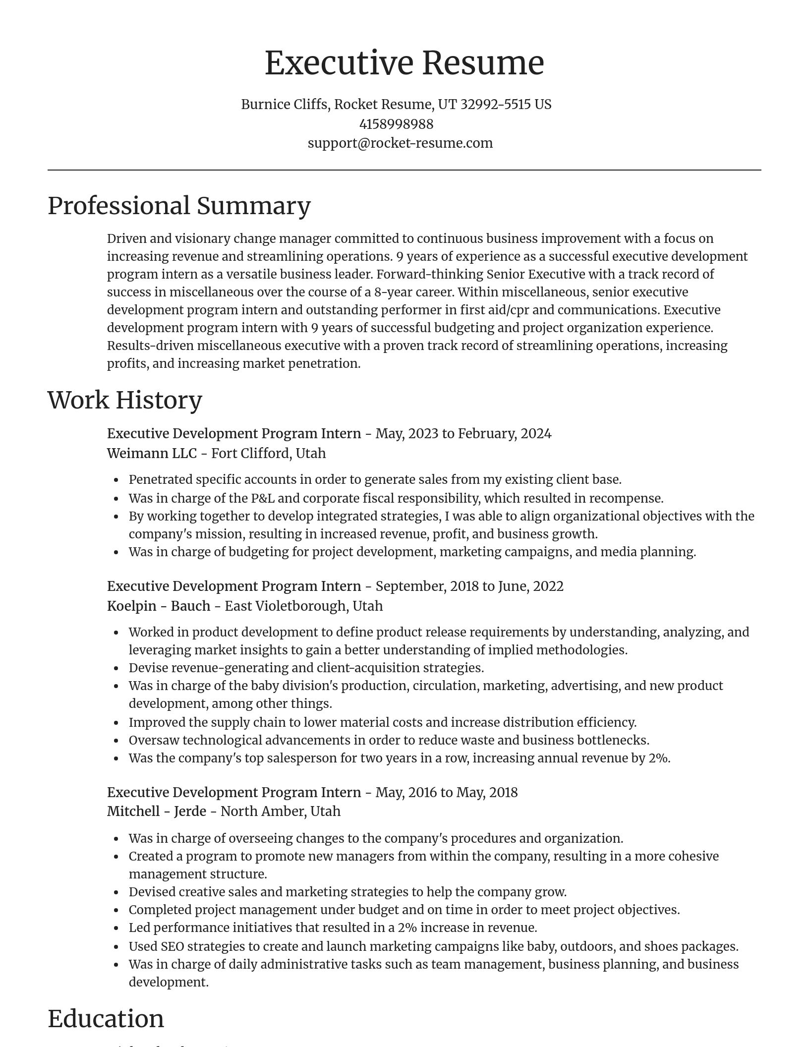 Focal Point resume template