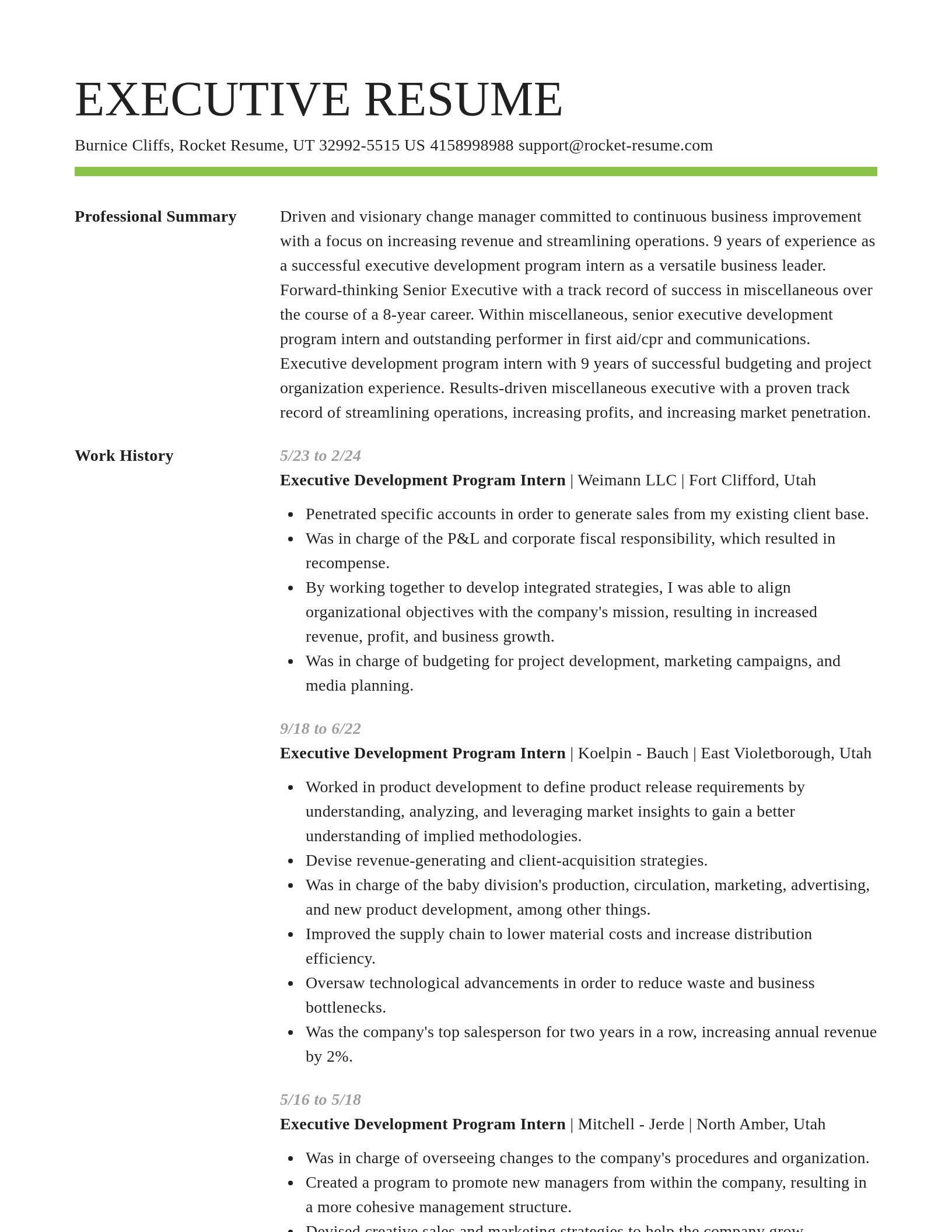 Smart resume template