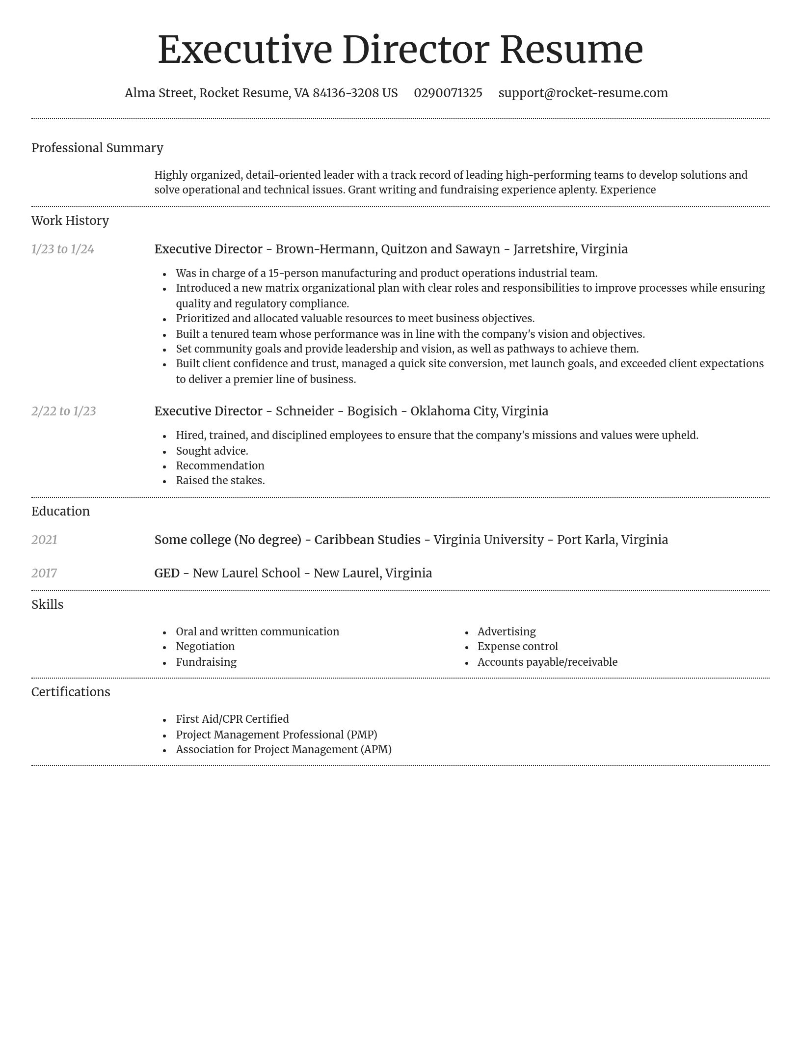 Dignified resume template