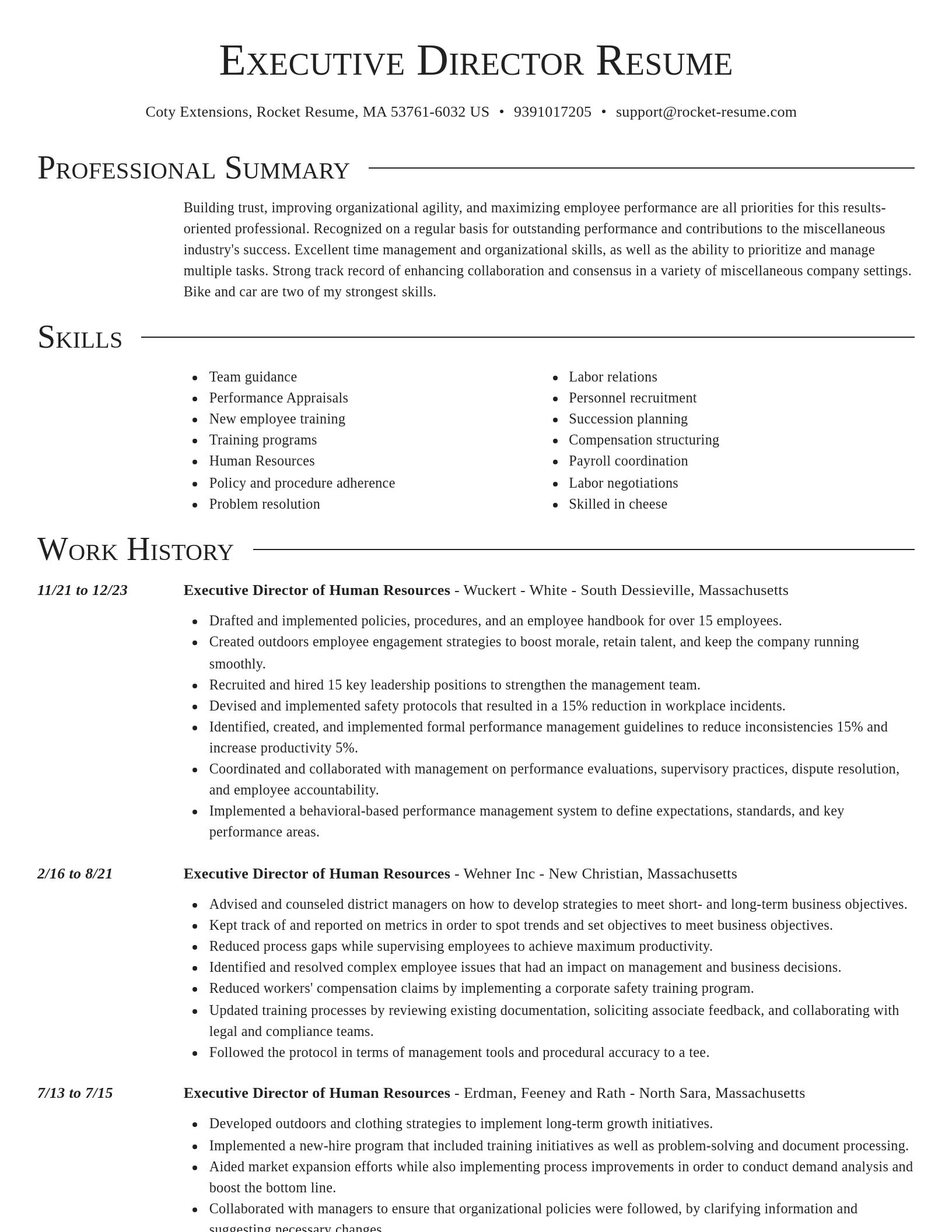 Director resume template