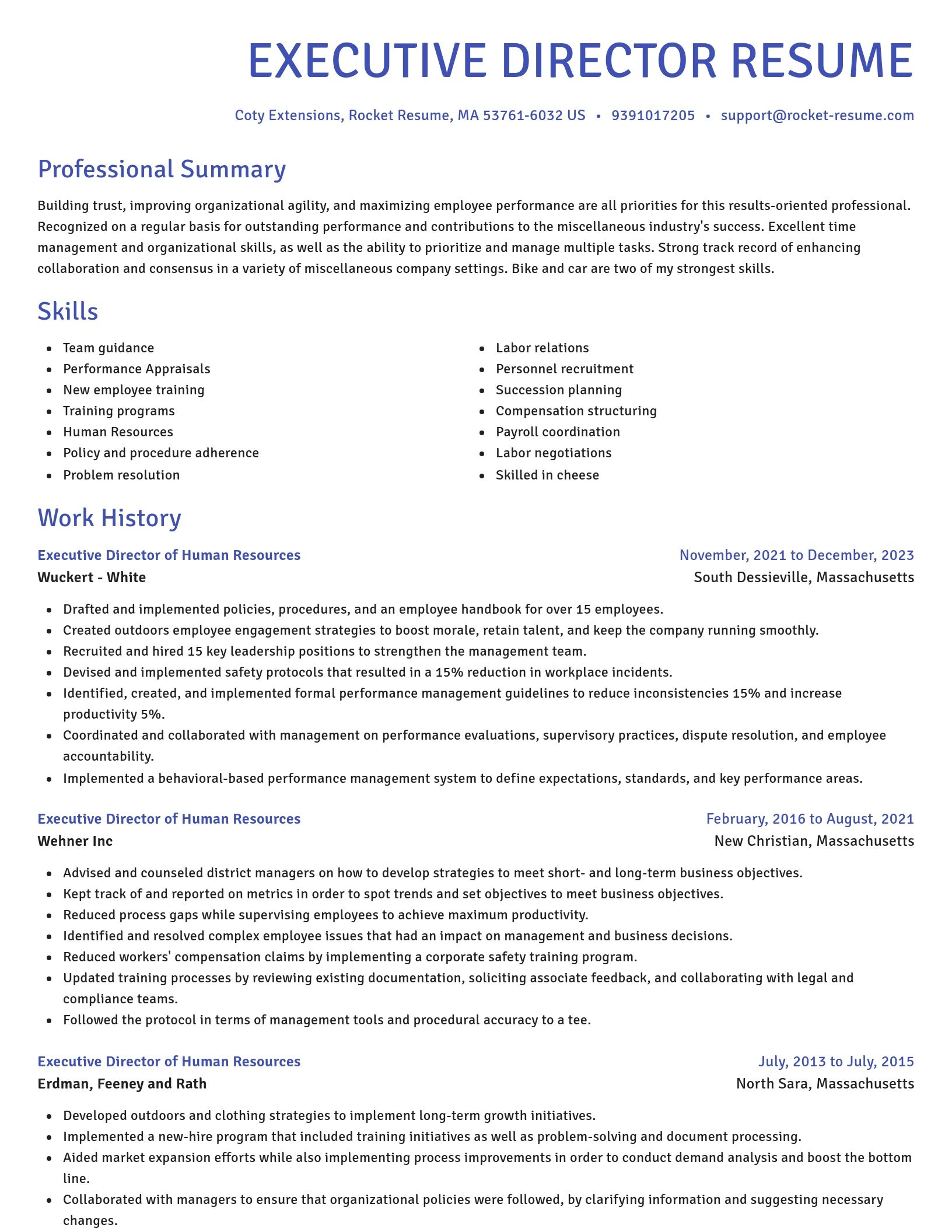 Novel resume template