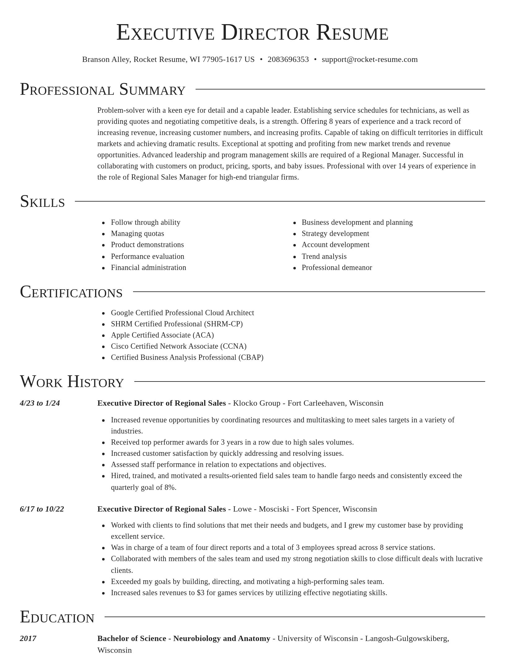 Director resume template