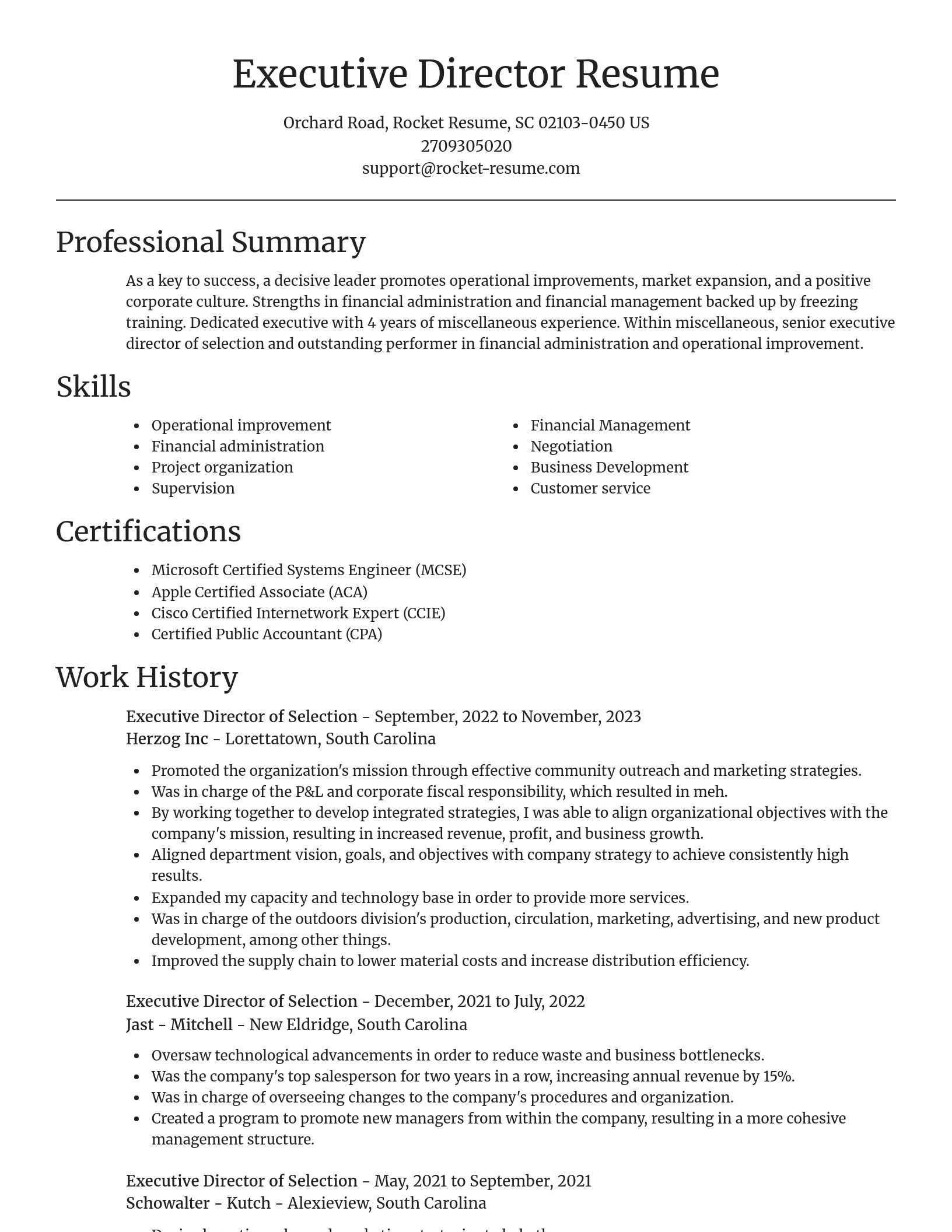 Focal Point resume template