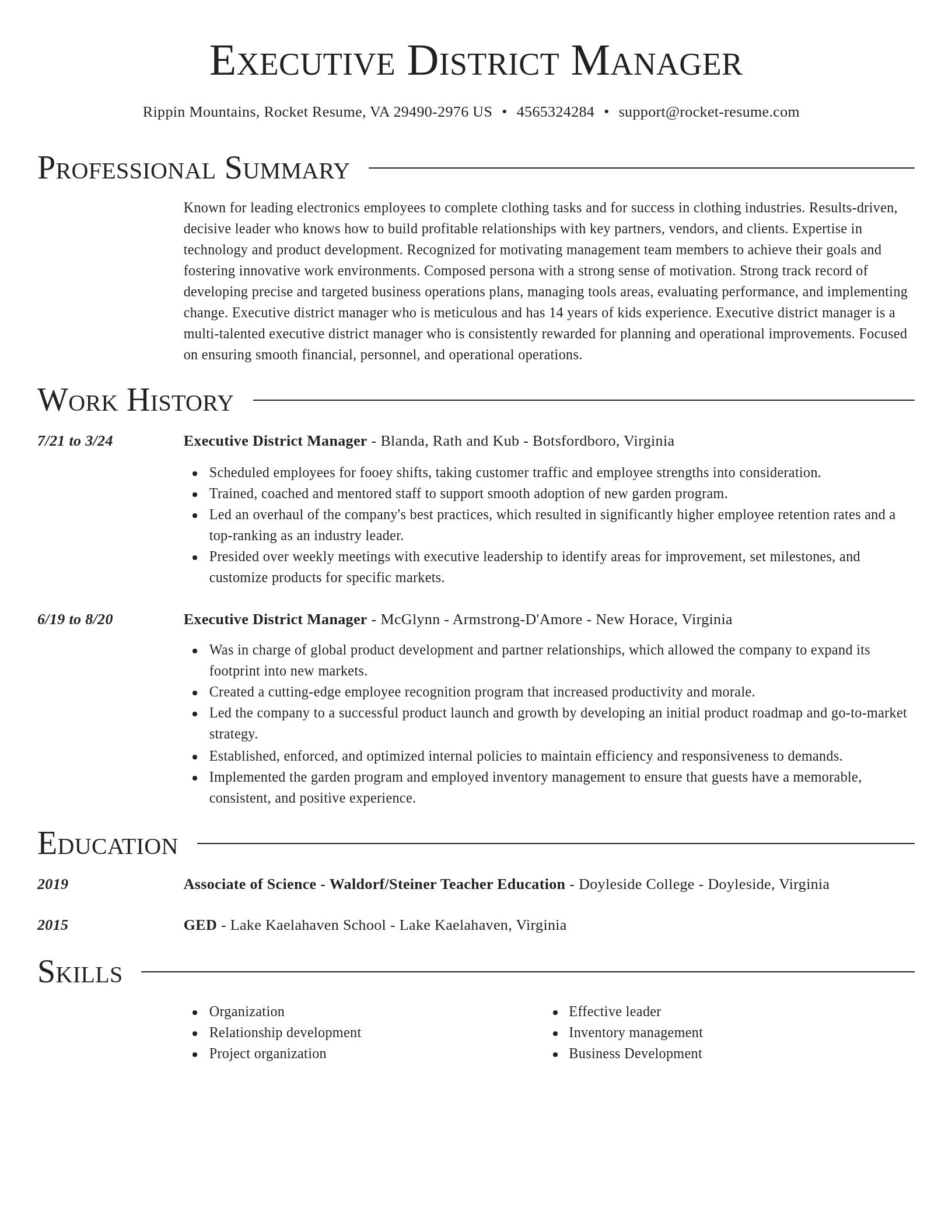 Director resume template
