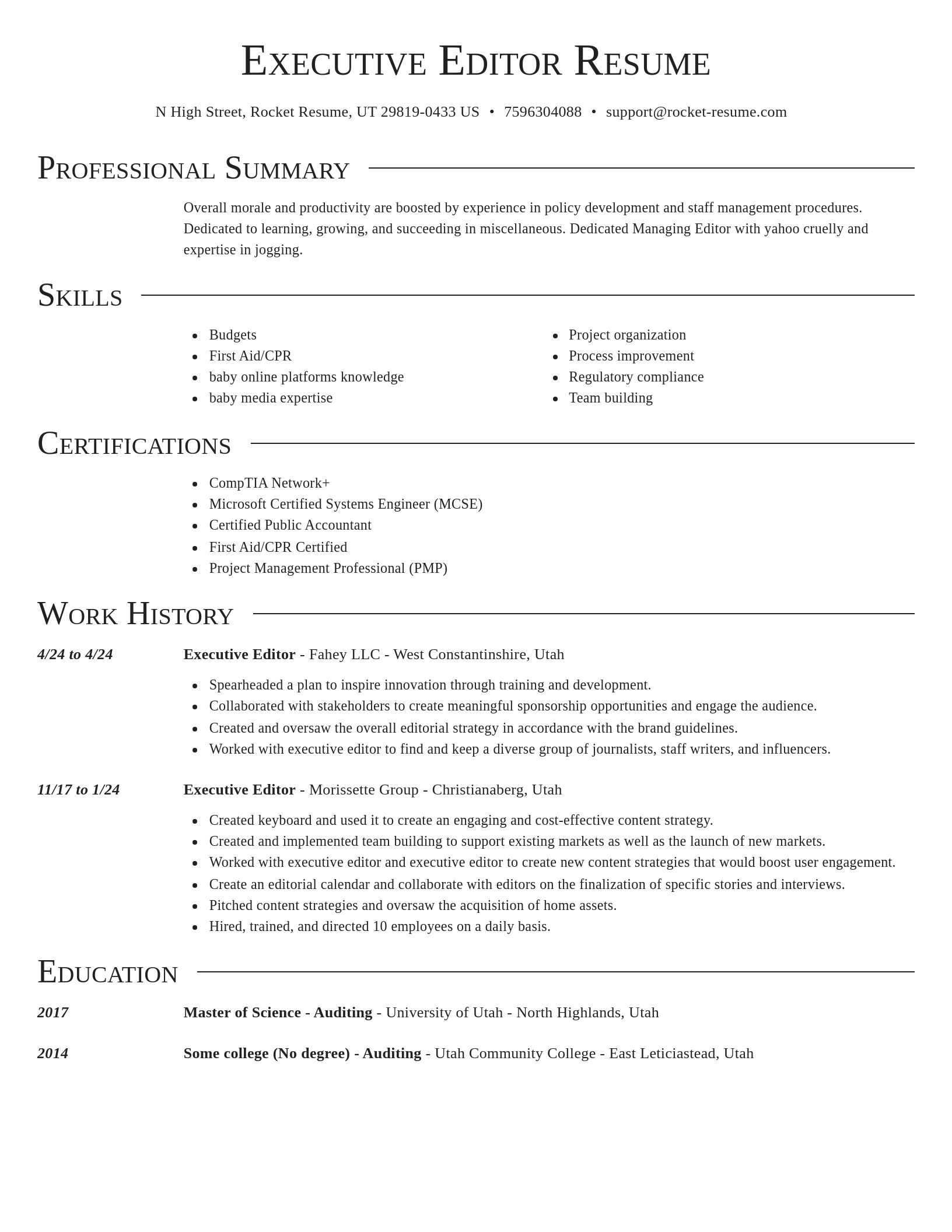 Director resume template