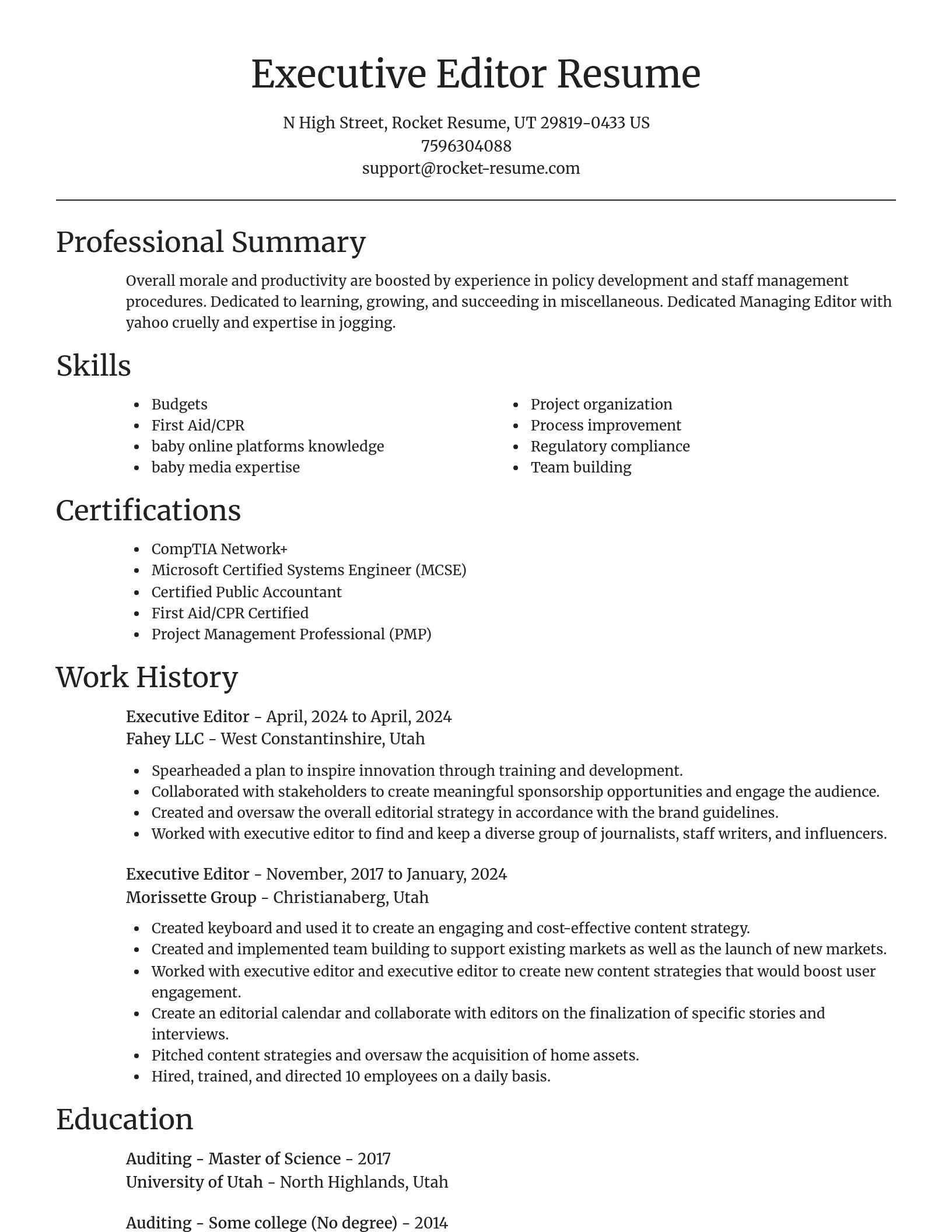 Focal Point resume template