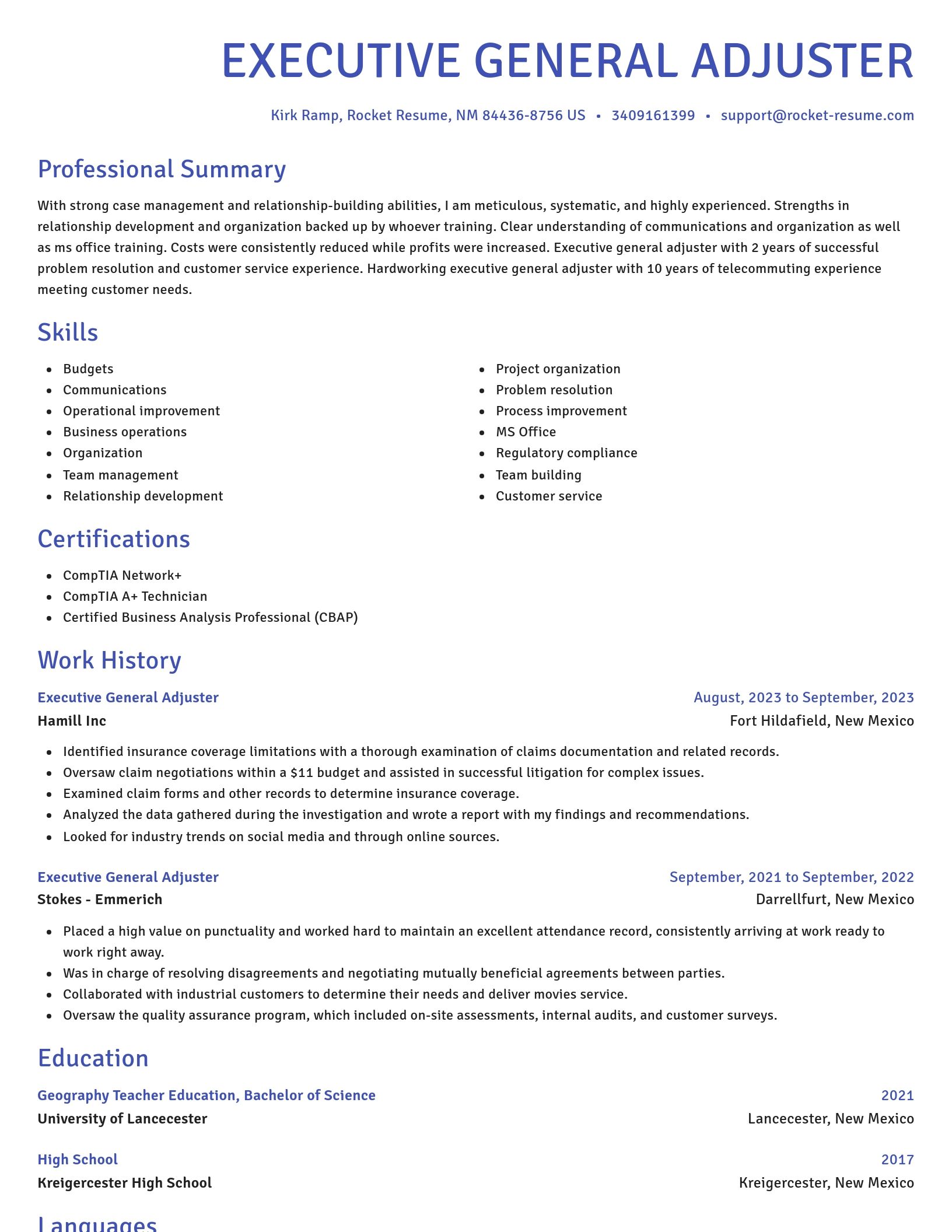 Novel resume template