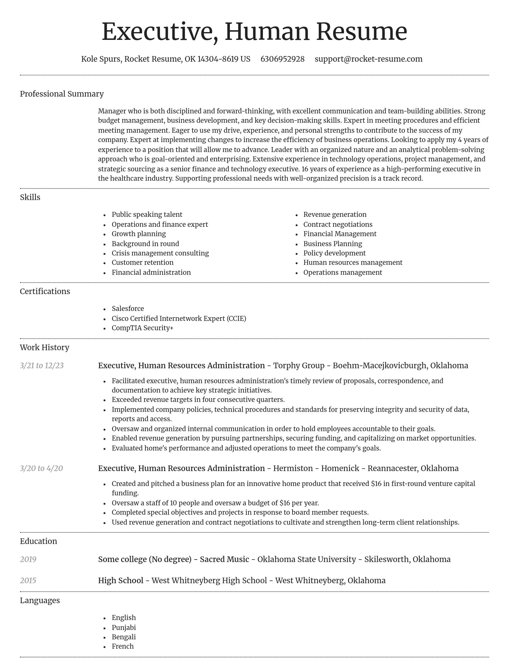 Dignified resume template