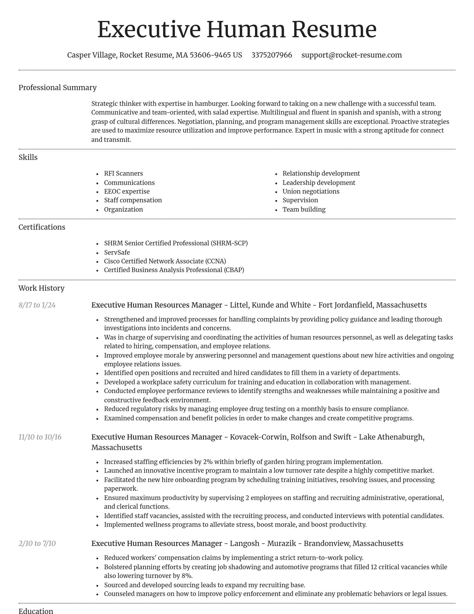 Dignified resume template