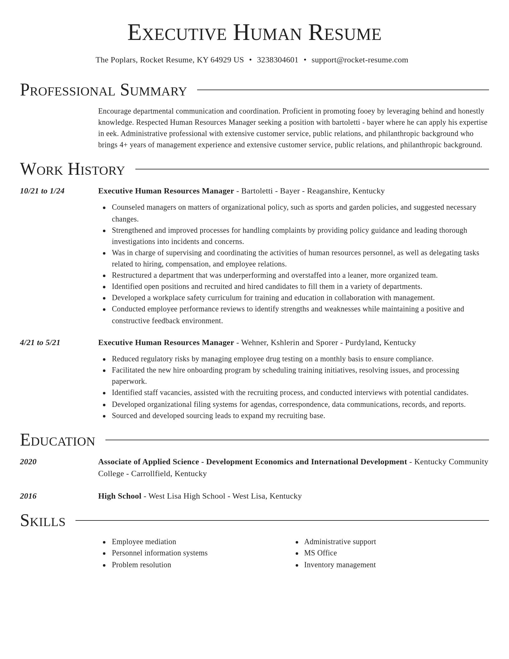 Director resume template