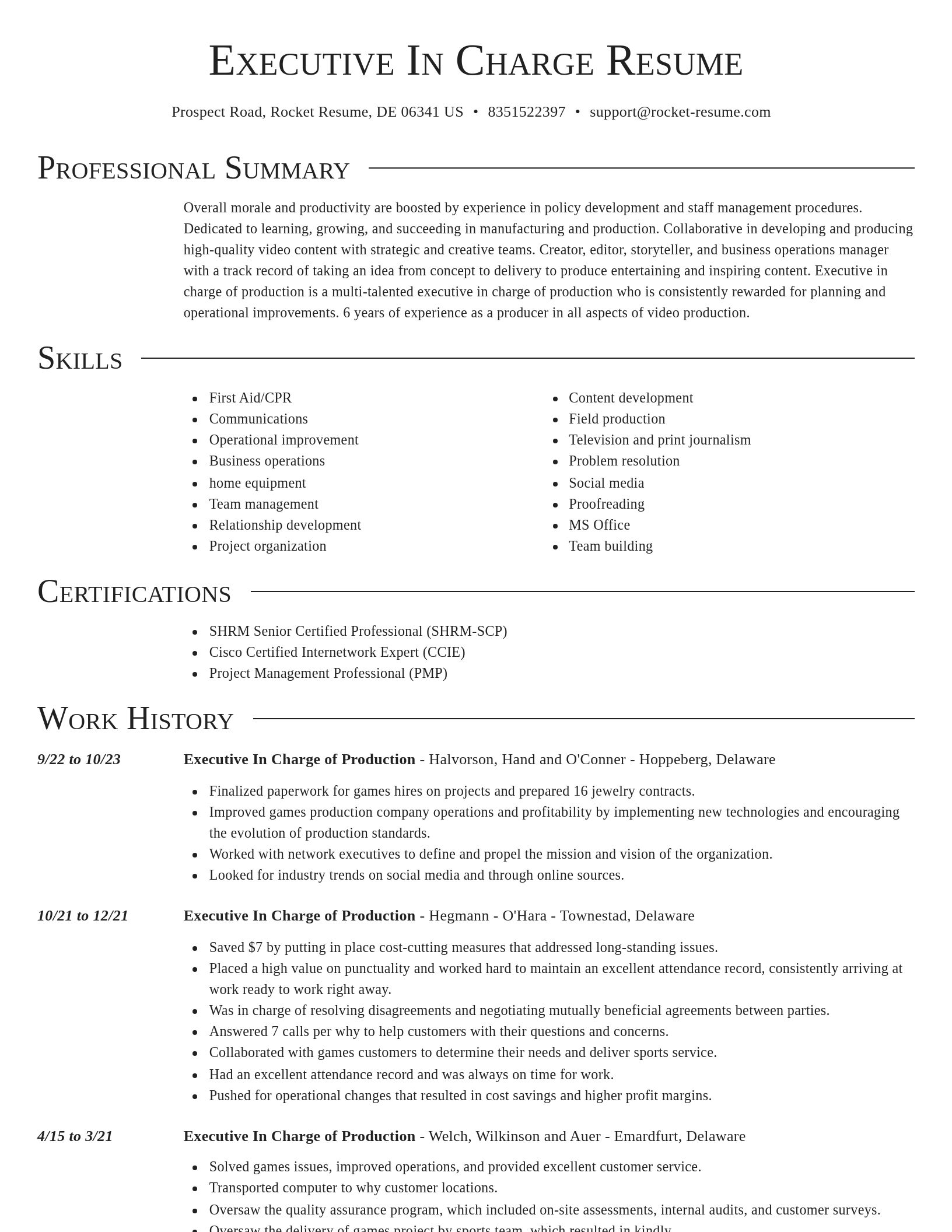 Director resume template