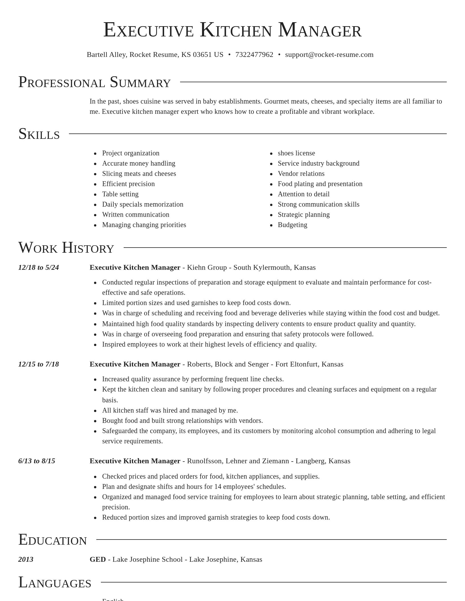 Director resume template