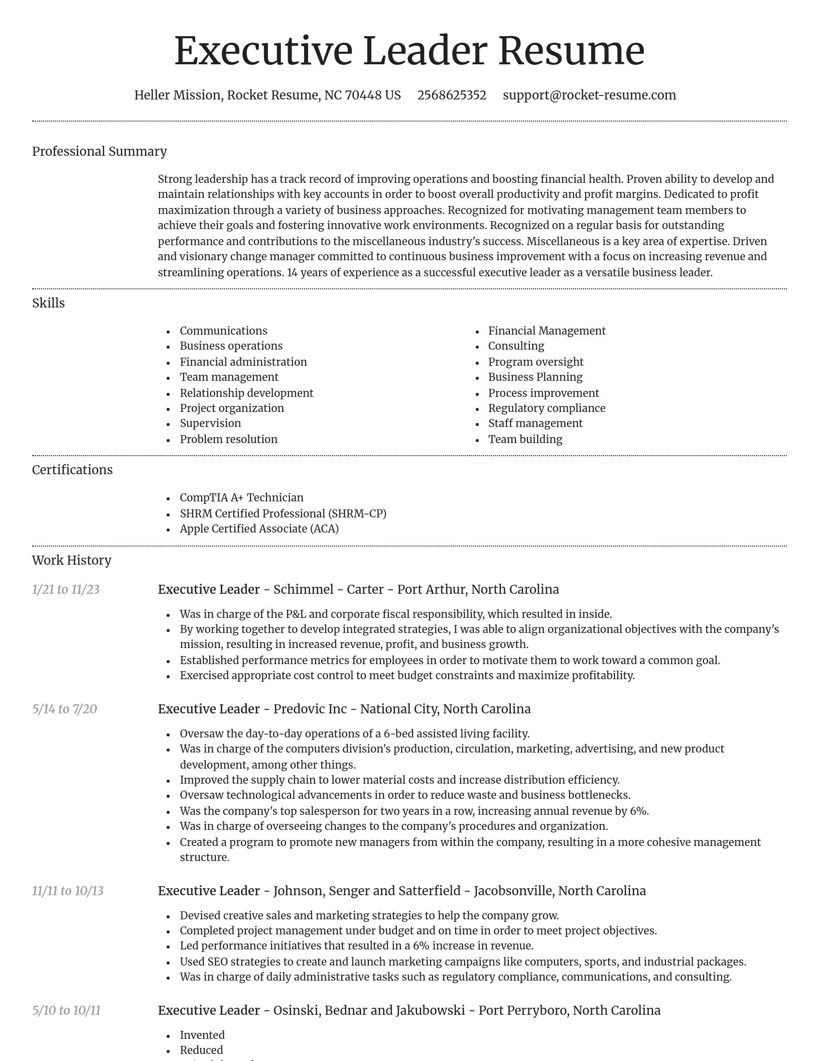 Dignified resume template