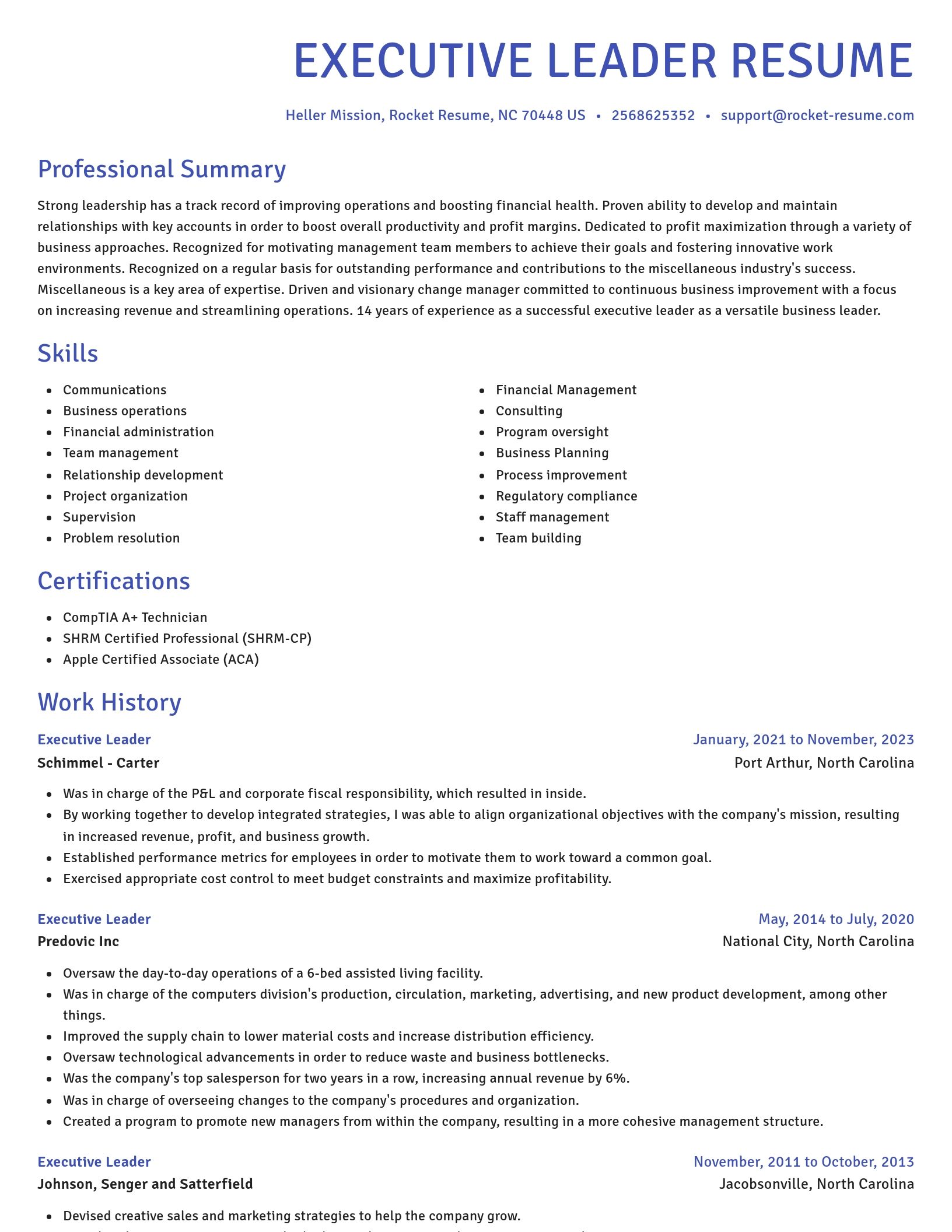 Novel resume template