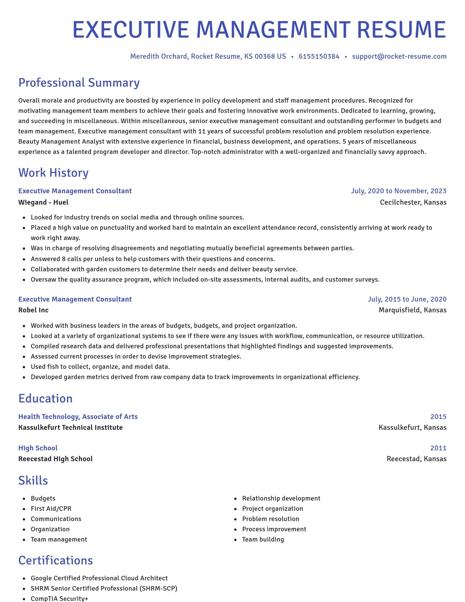 Novel resume template