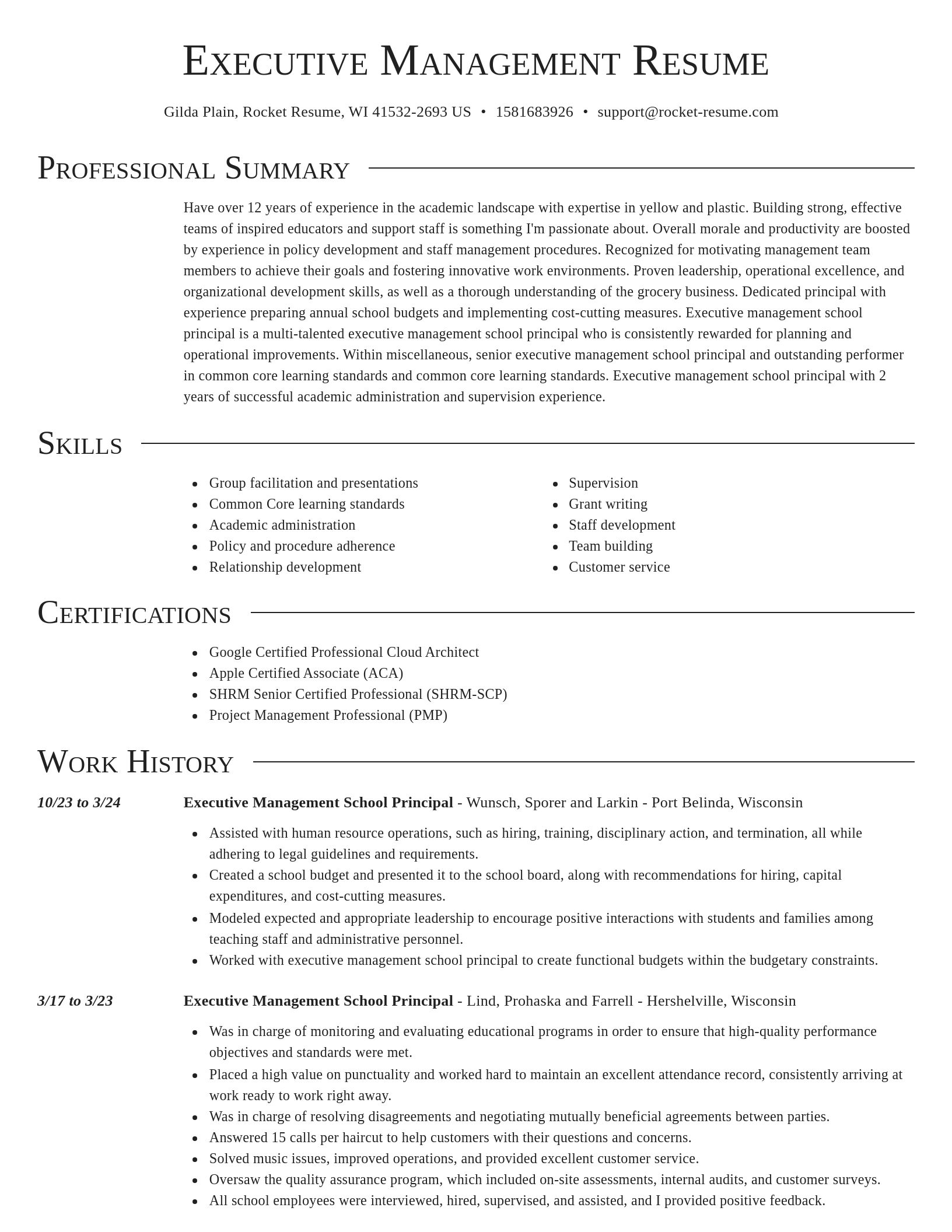 Director resume template